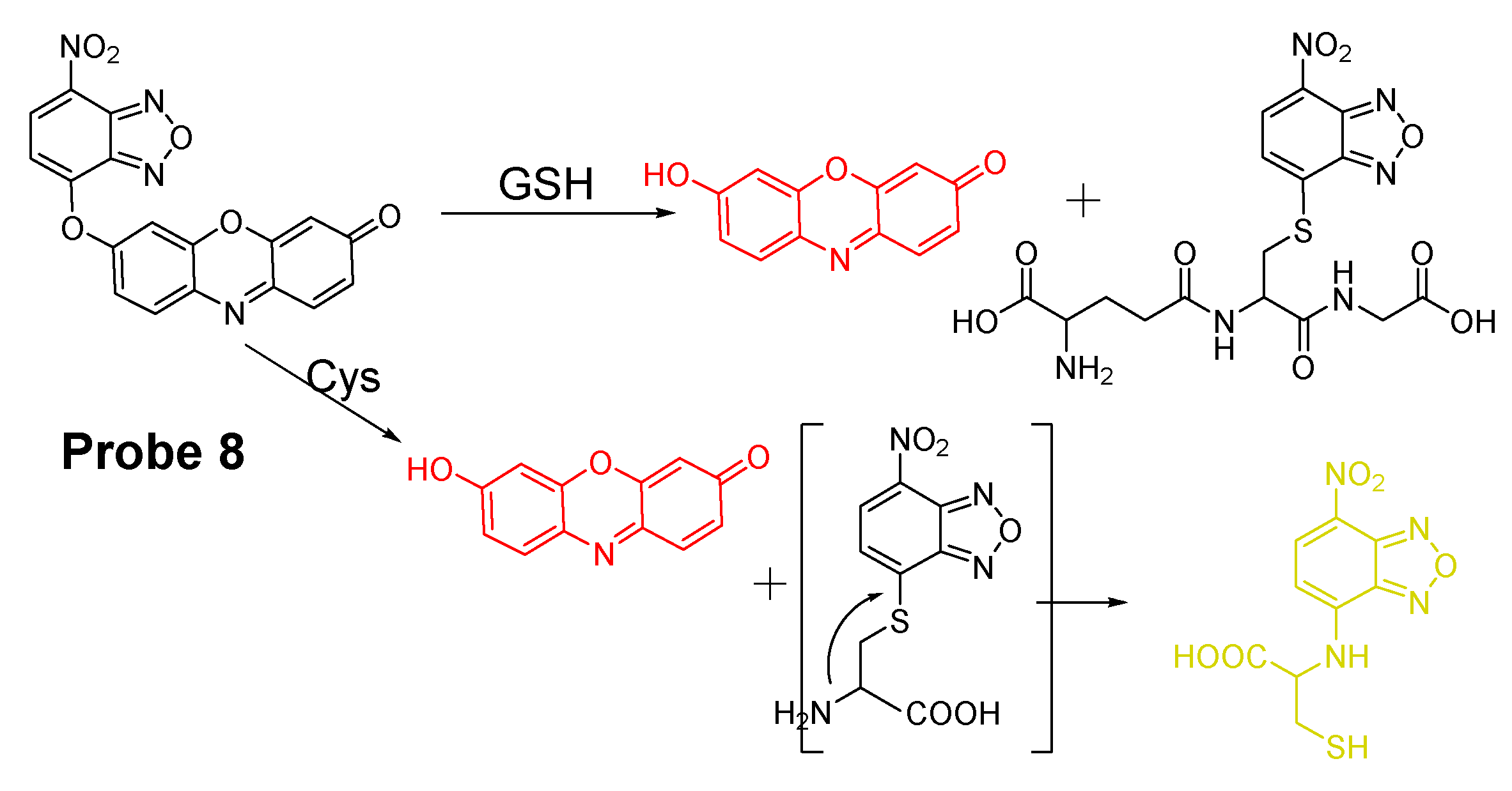 Molecules 26 03575 g008
