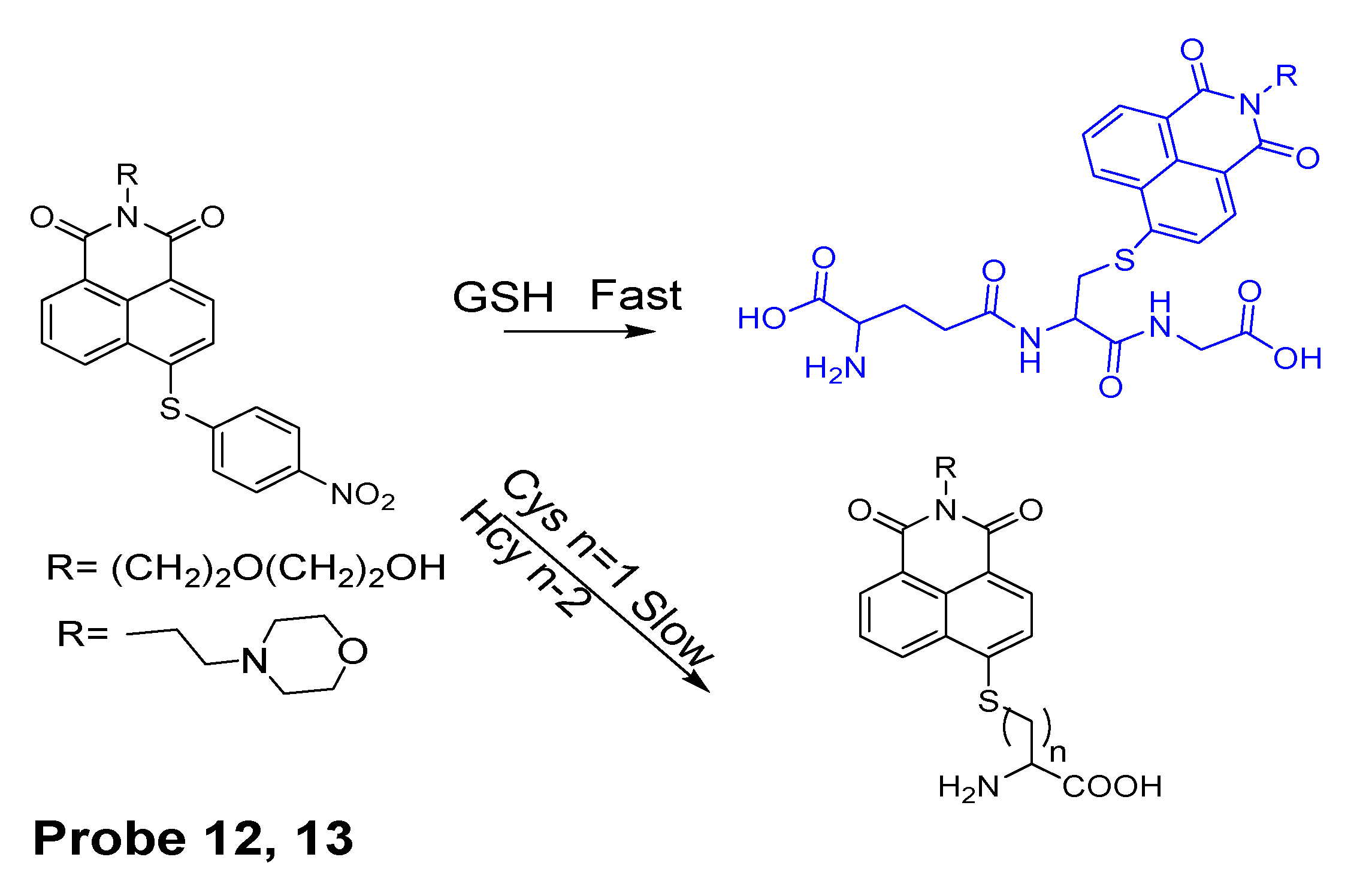 Molecules 26 03575 g012