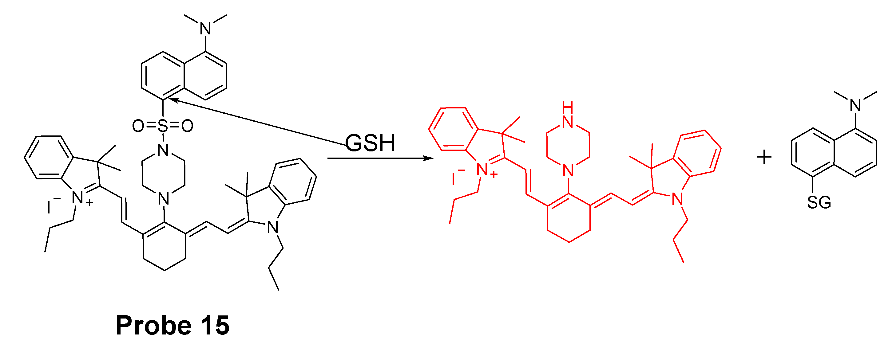 Molecules 26 03575 g014