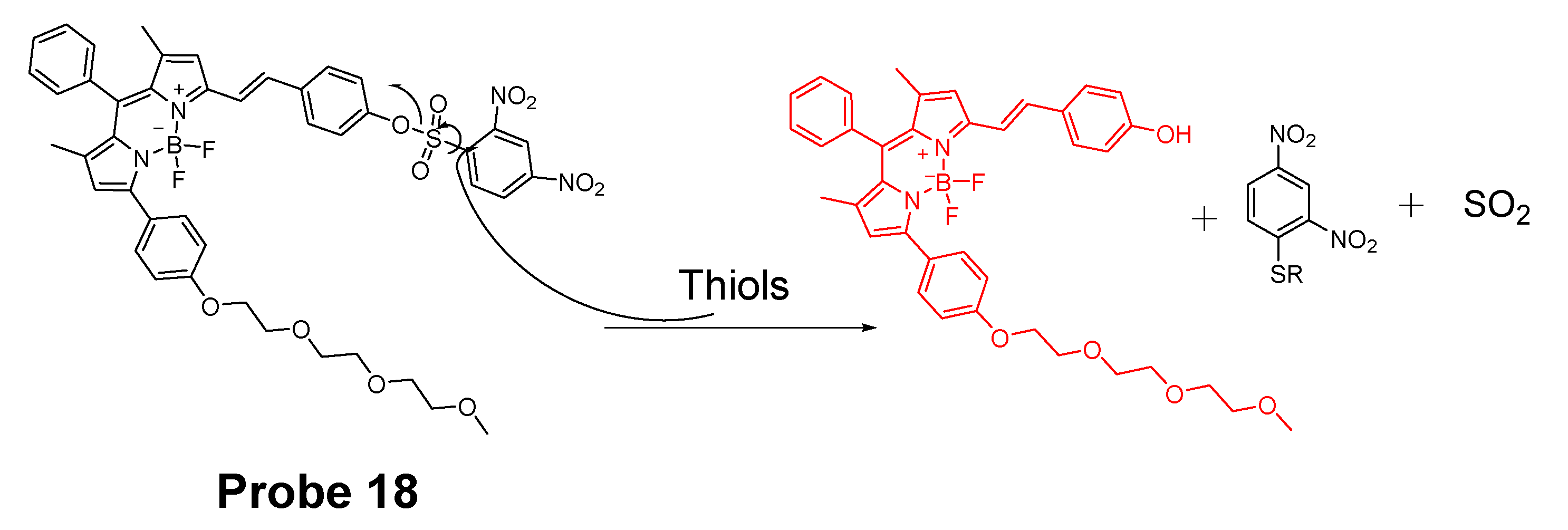 Molecules 26 03575 g017
