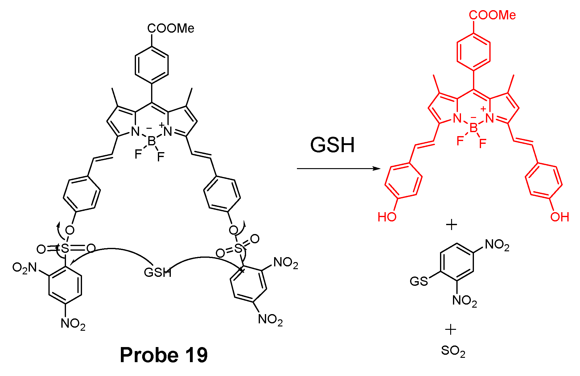 Molecules 26 03575 g018