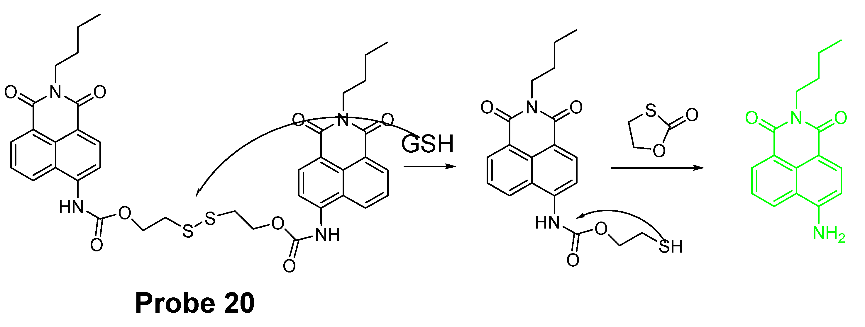 Molecules 26 03575 g019