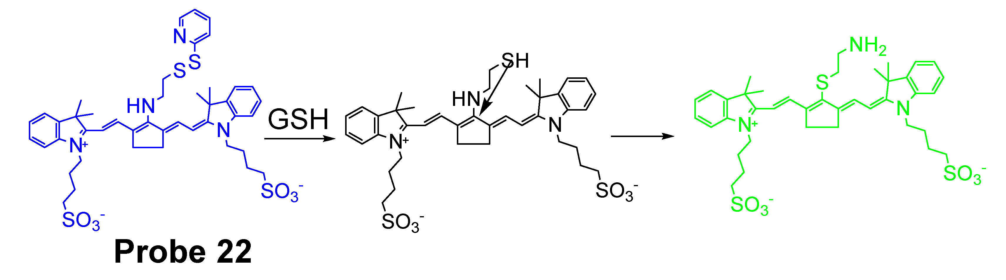 Molecules 26 03575 g021