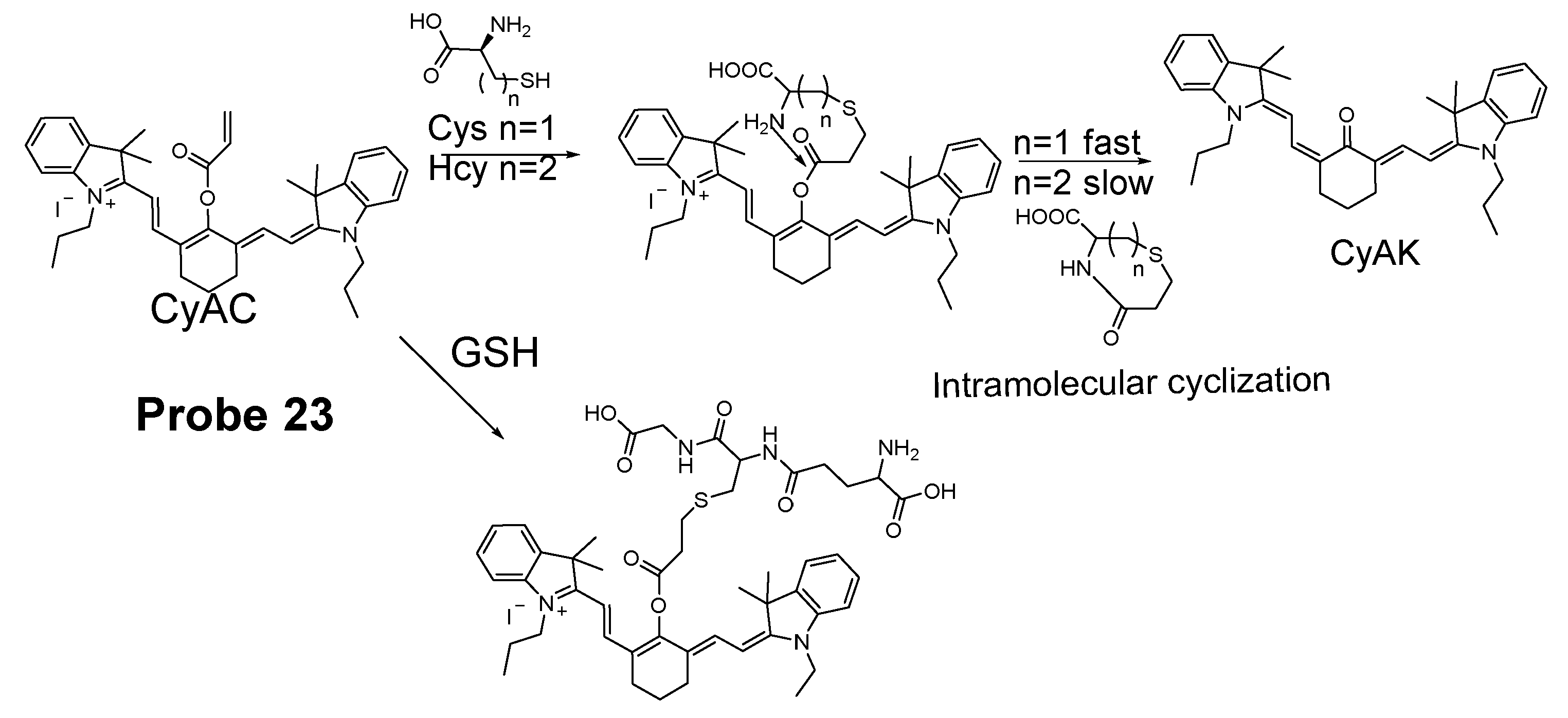Molecules 26 03575 g022