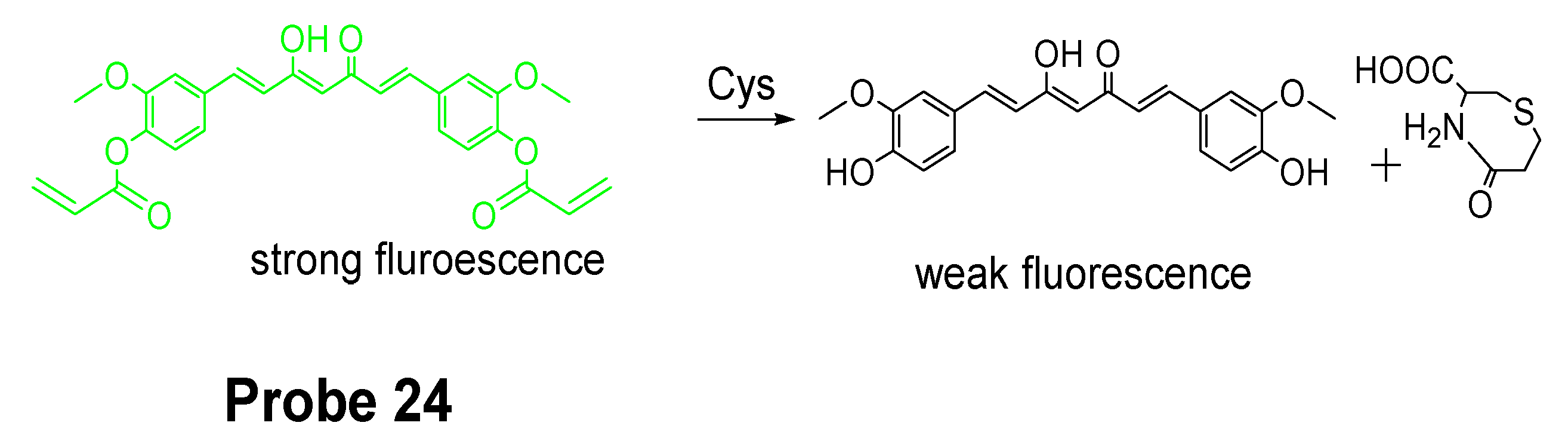 Molecules 26 03575 g023