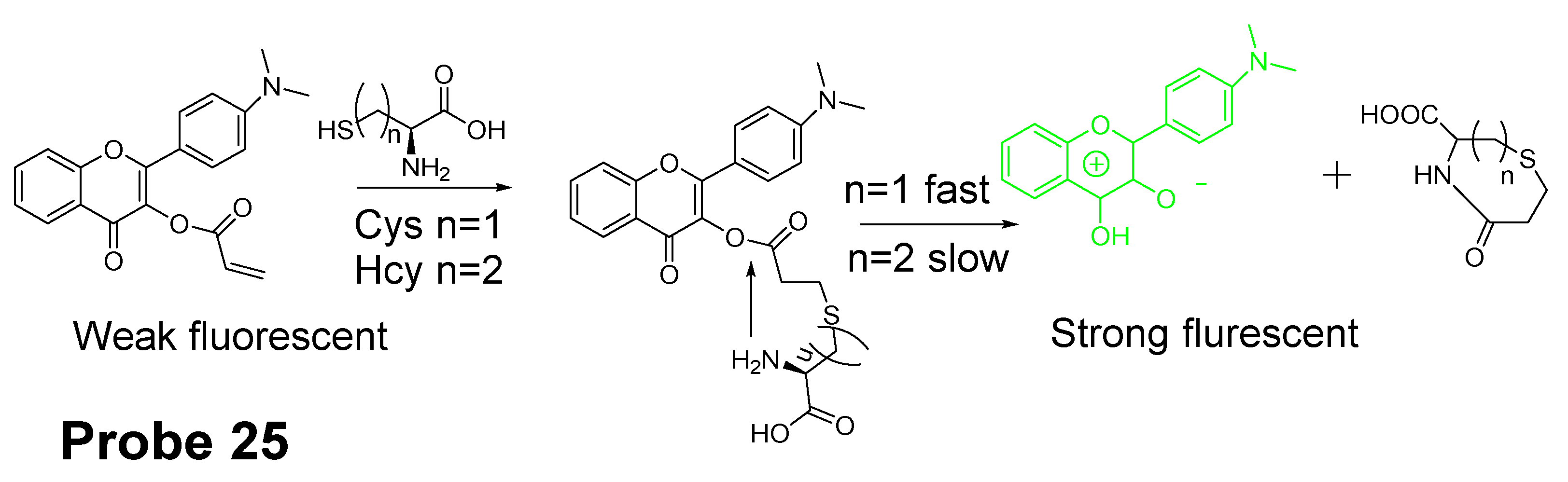 Molecules 26 03575 g024