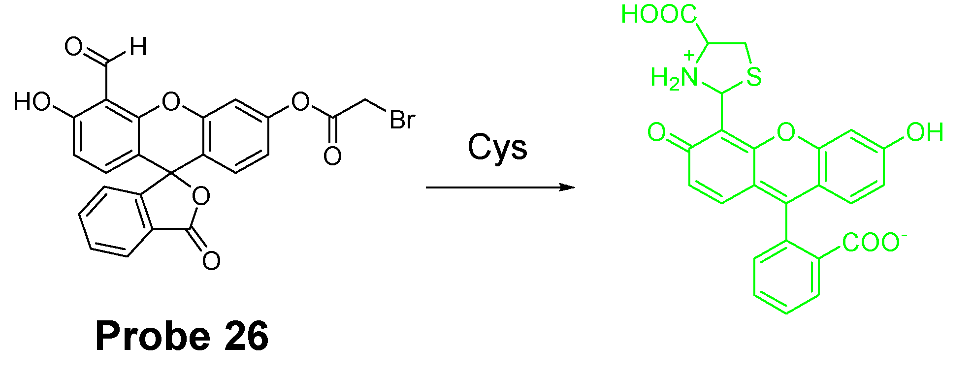 Molecules 26 03575 g025