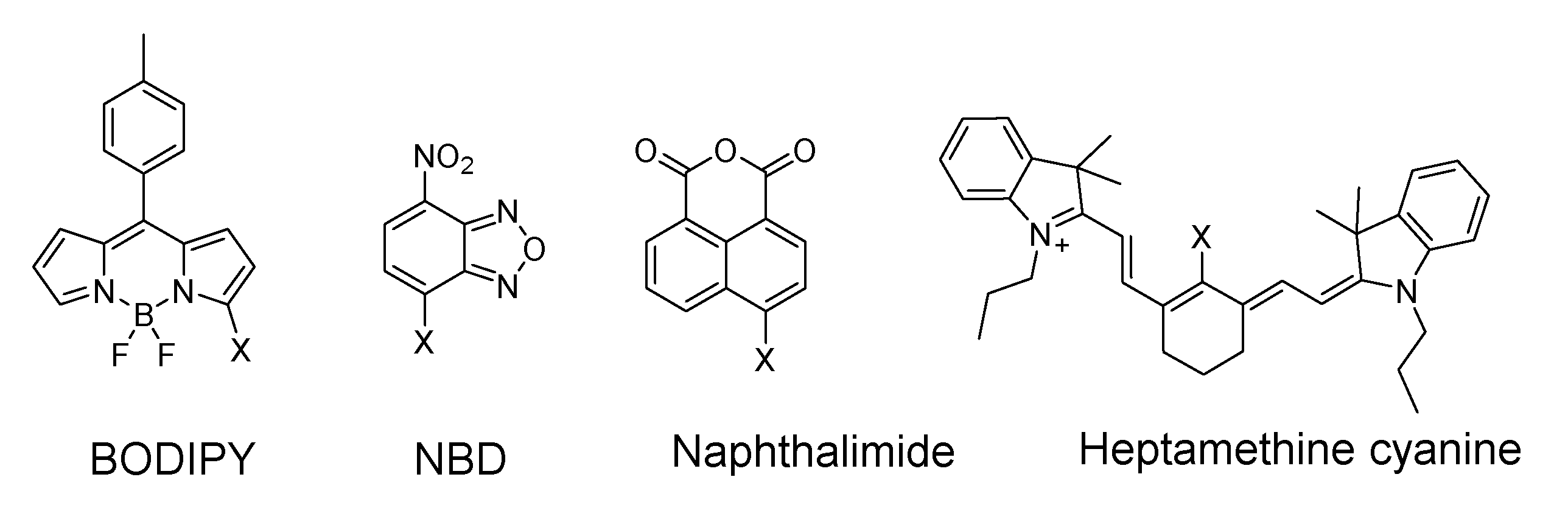 Molecules 26 03575 g027