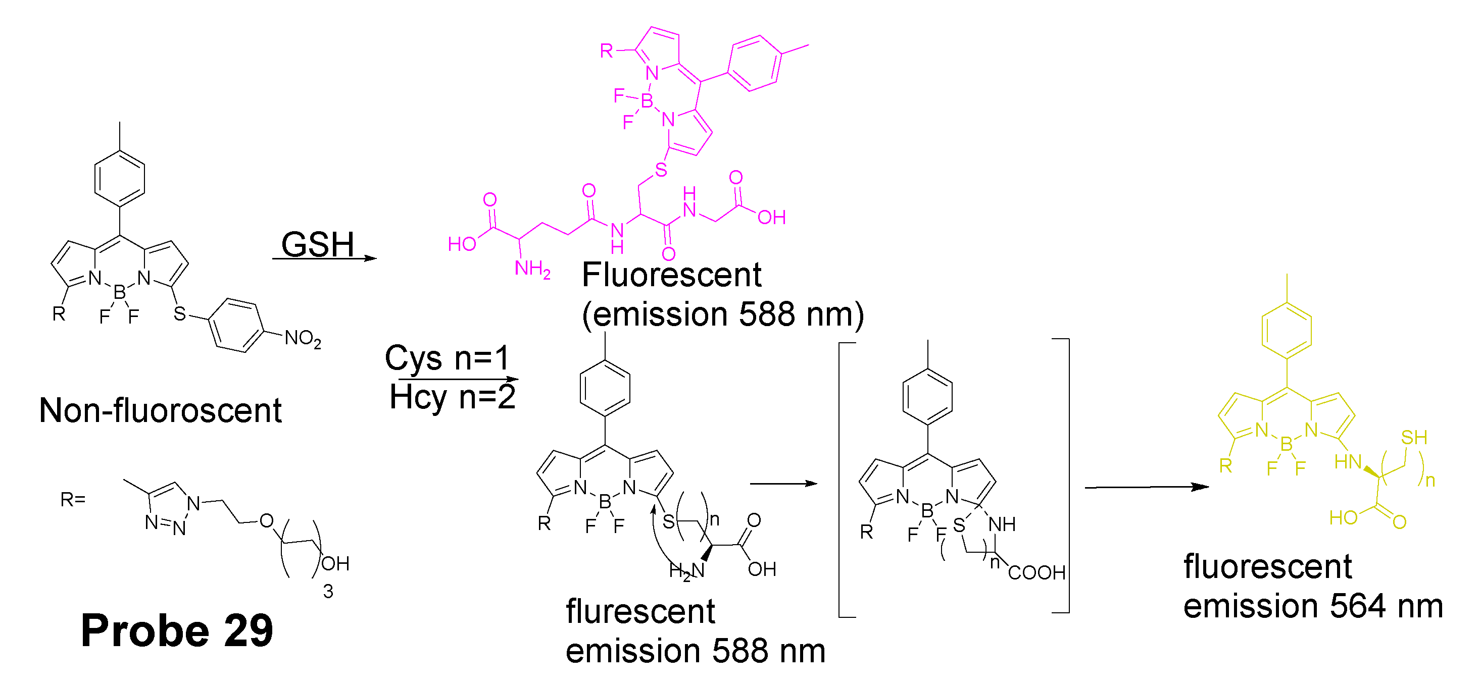 Molecules 26 03575 g029