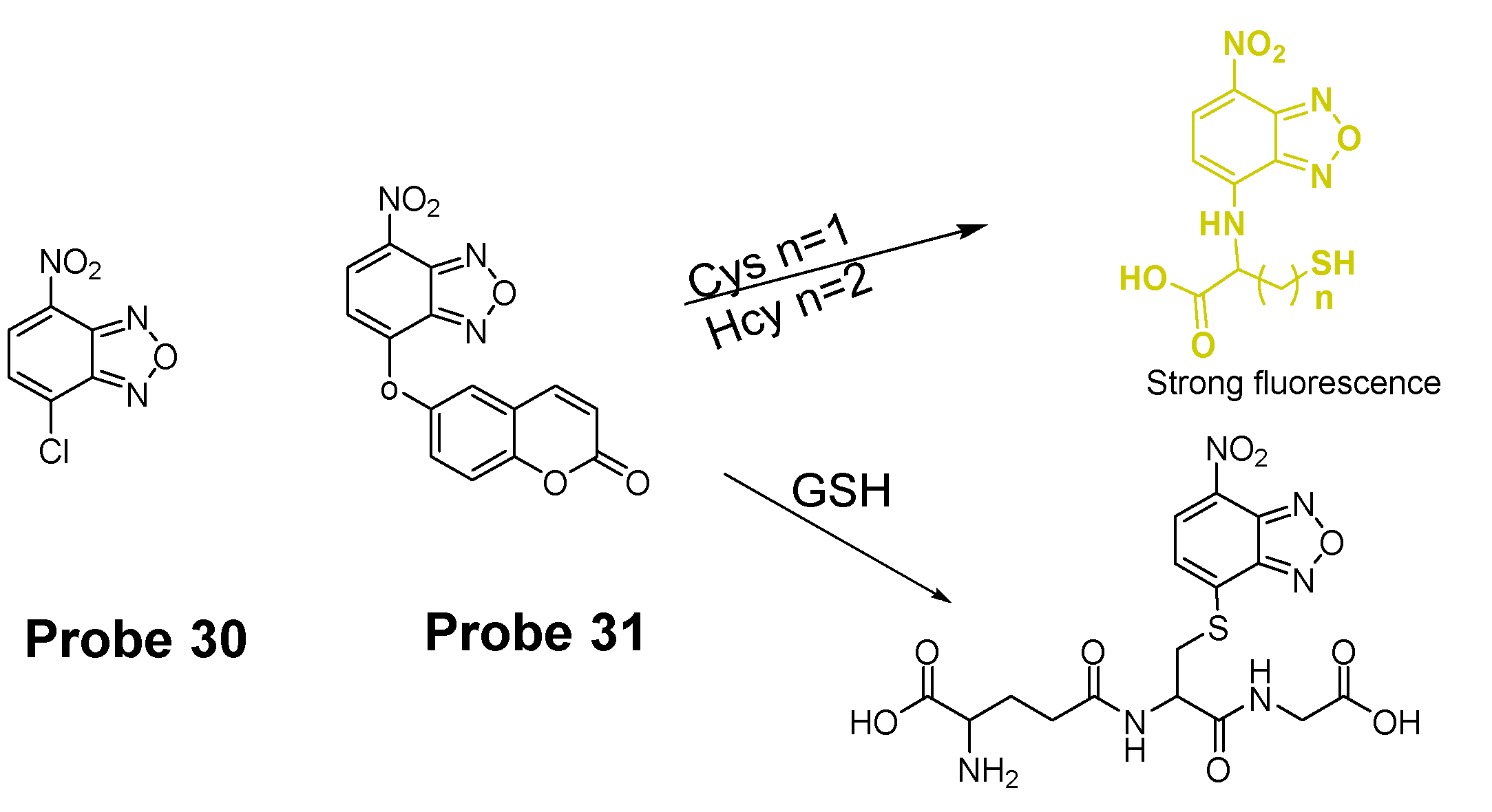 Molecules 26 03575 g030