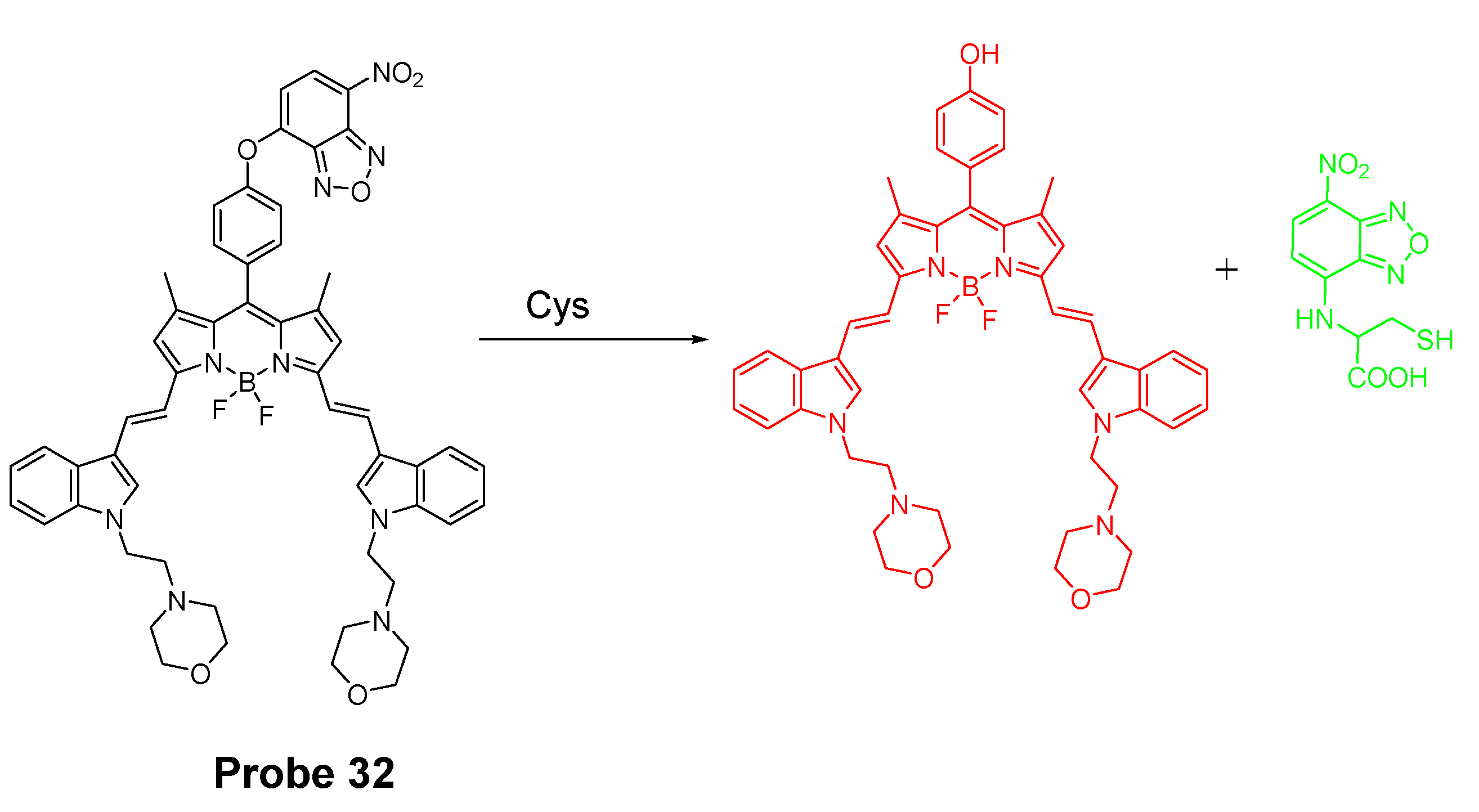 Molecules 26 03575 g031
