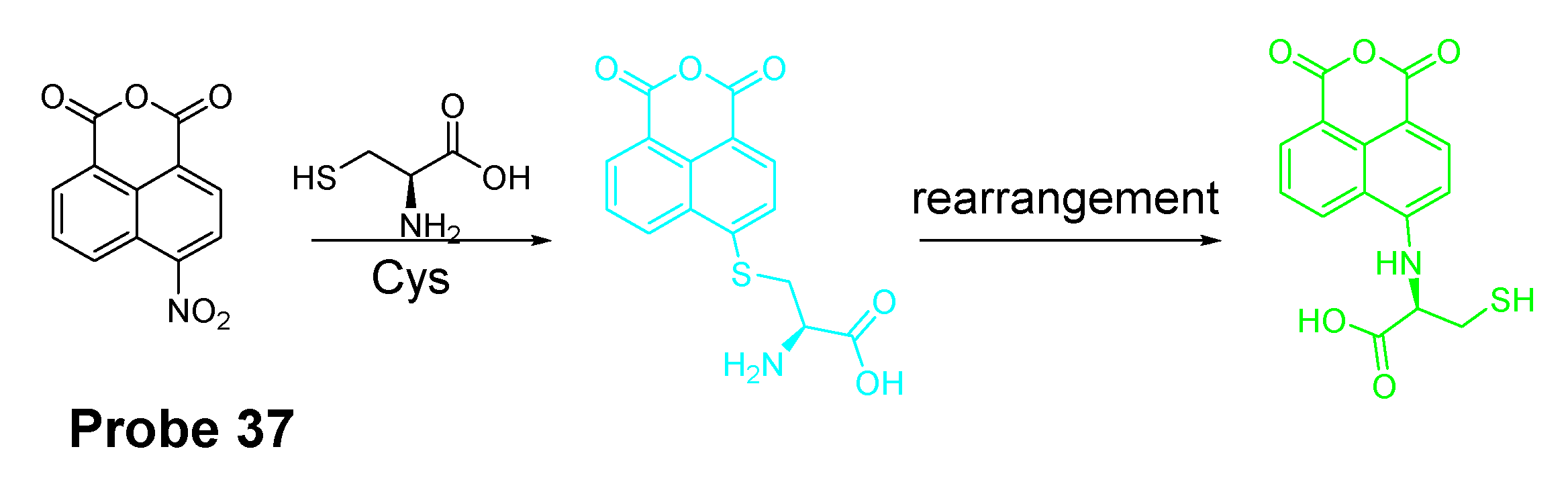 Molecules 26 03575 g033