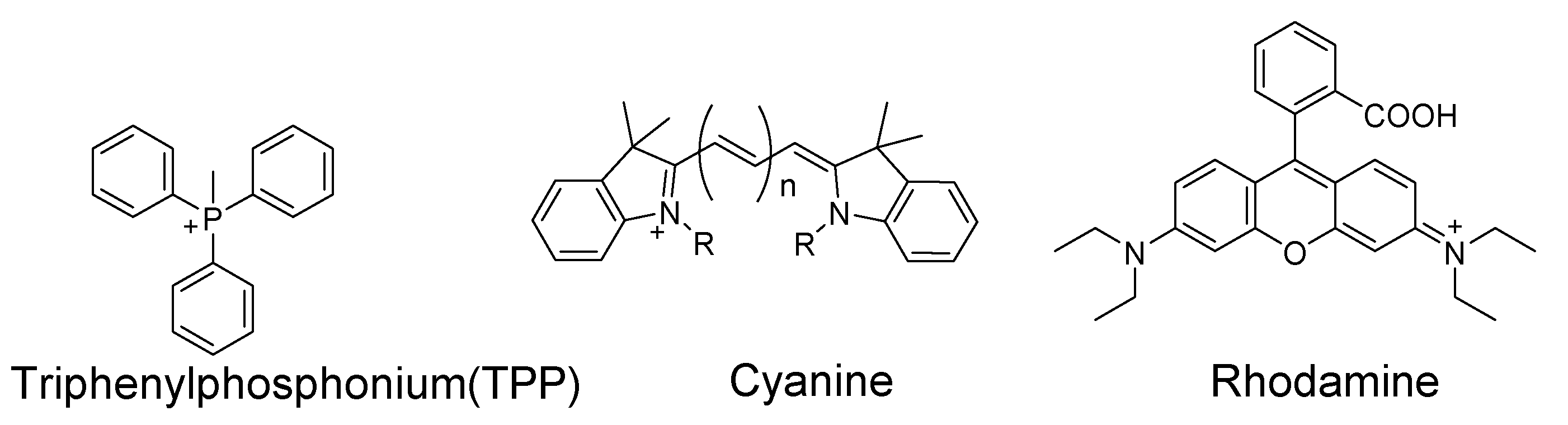 Molecules 26 03575 g035