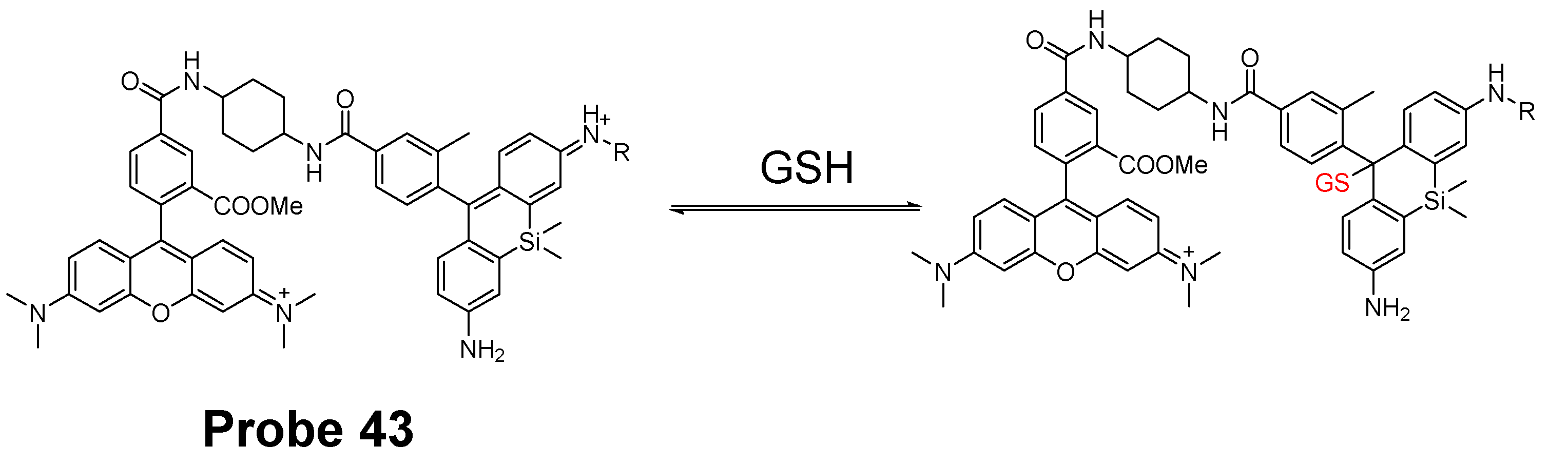 Molecules 26 03575 g038