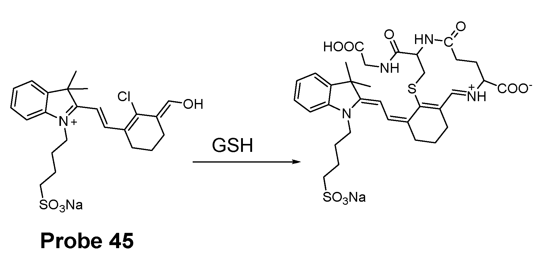 Molecules 26 03575 g040