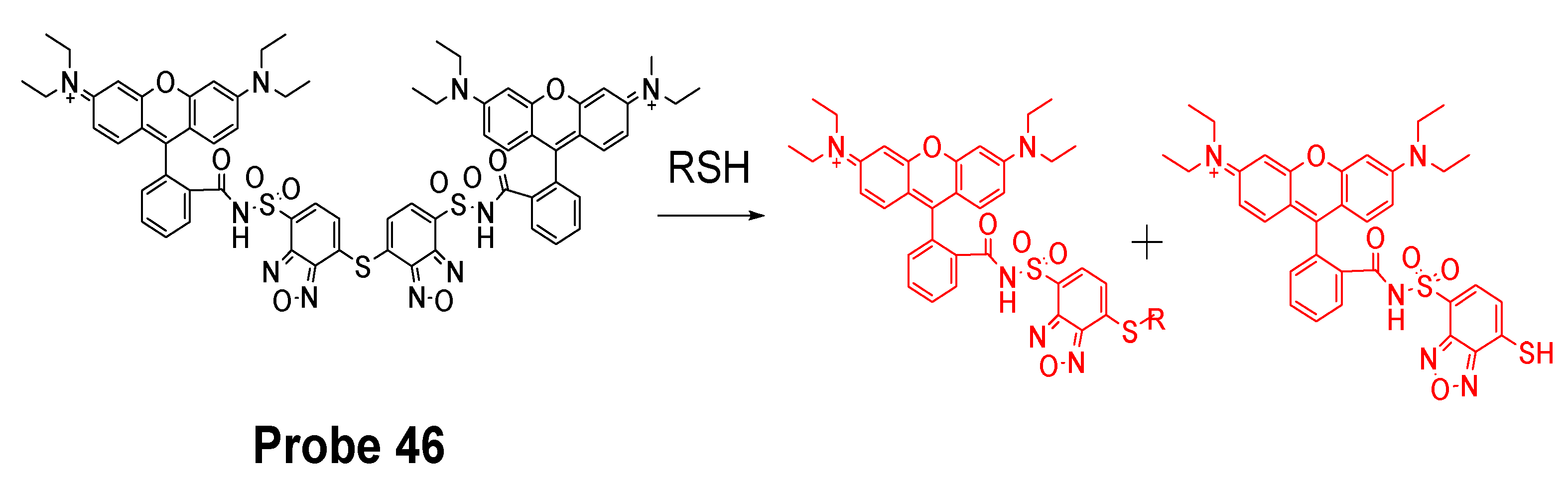 Molecules 26 03575 g041