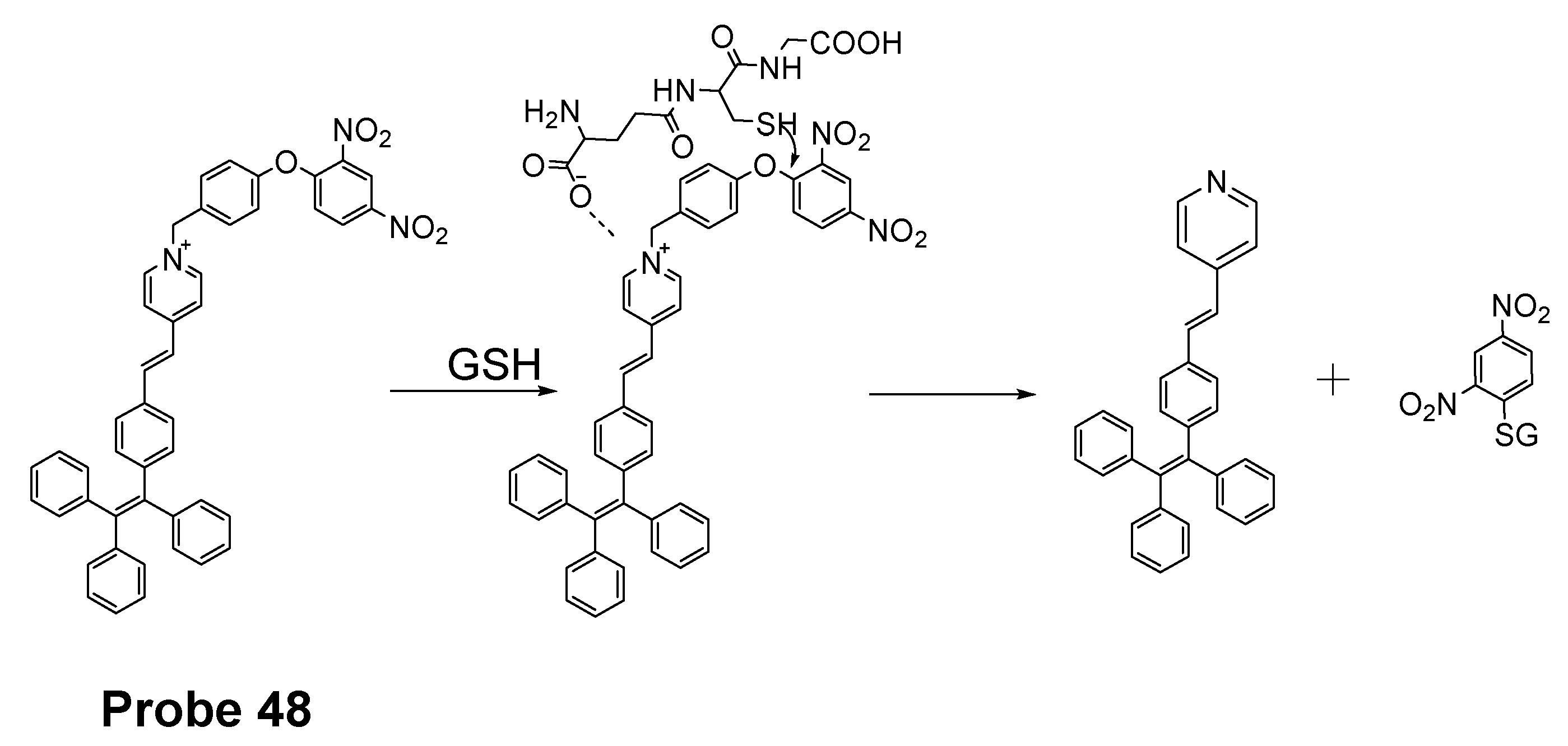 Molecules 26 03575 g043
