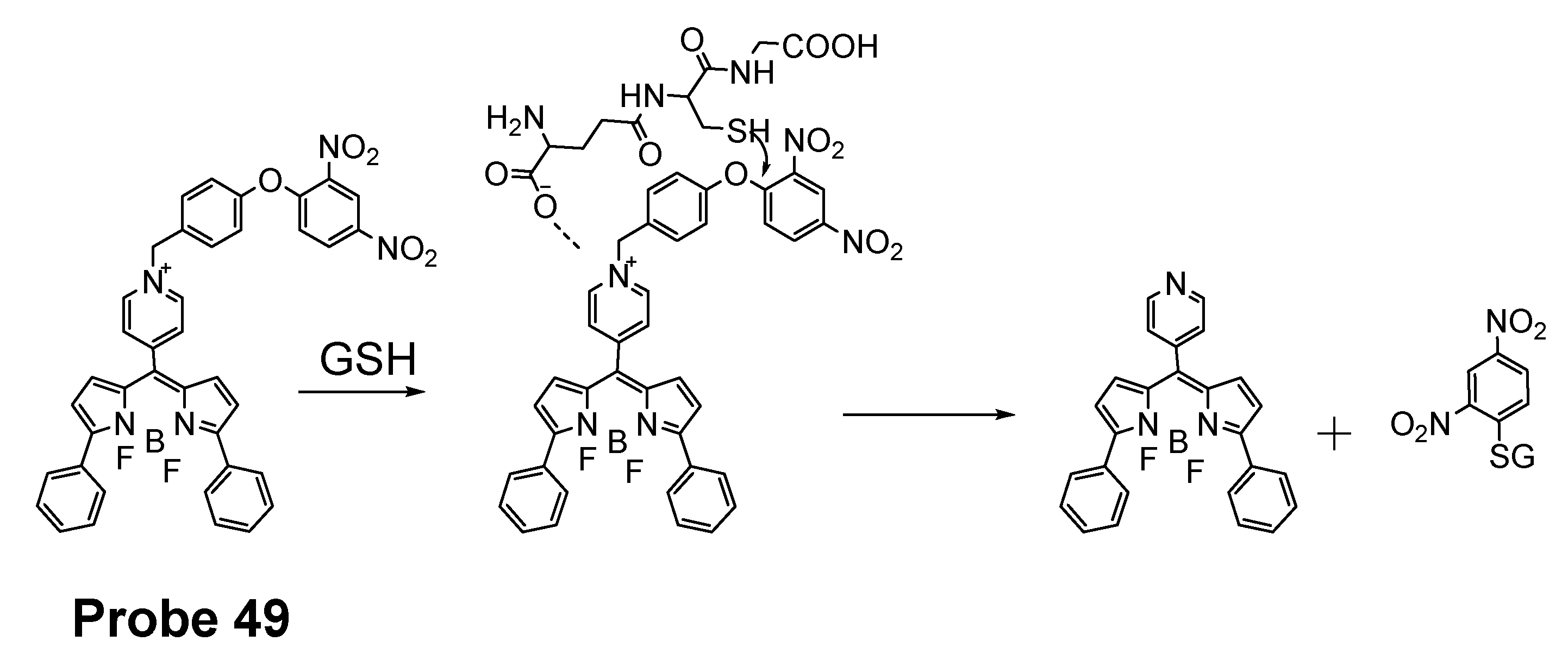 Molecules 26 03575 g044