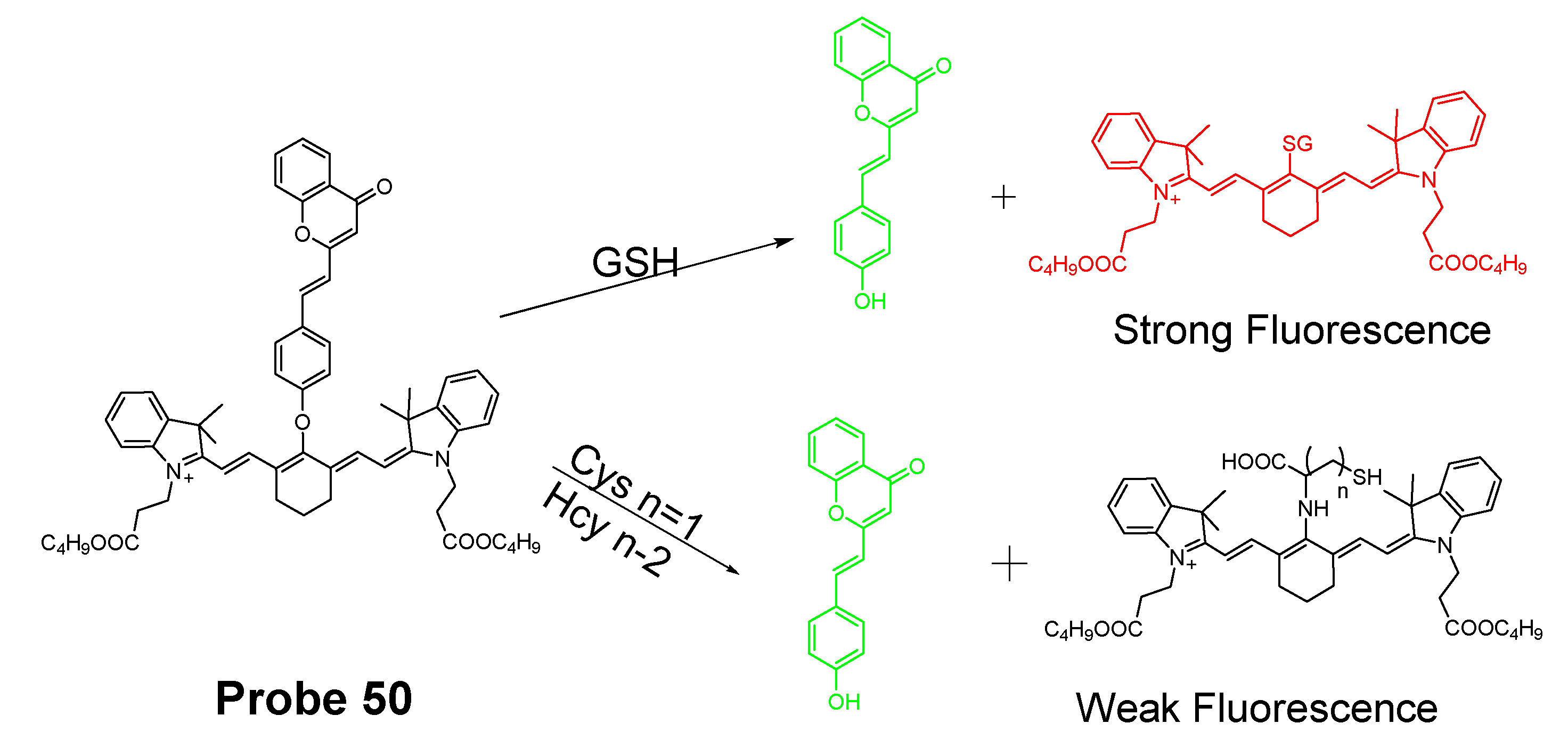 Molecules 26 03575 g045
