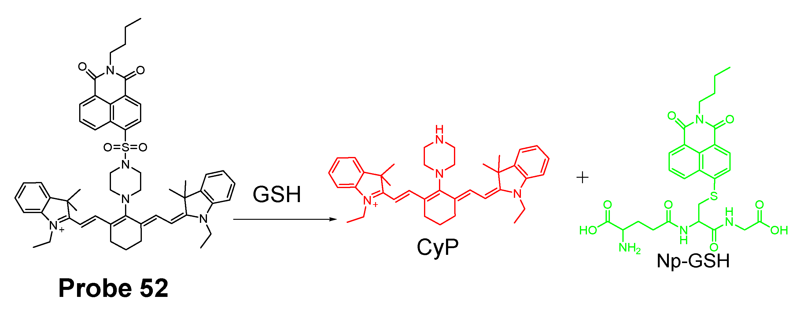 Molecules 26 03575 g047