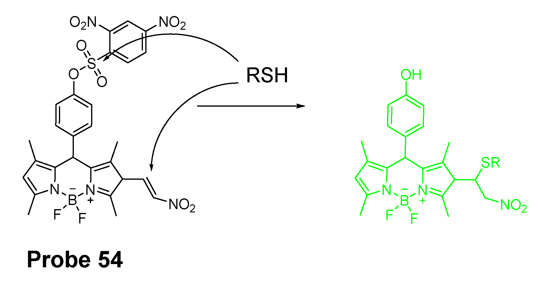 Molecules 26 03575 g049