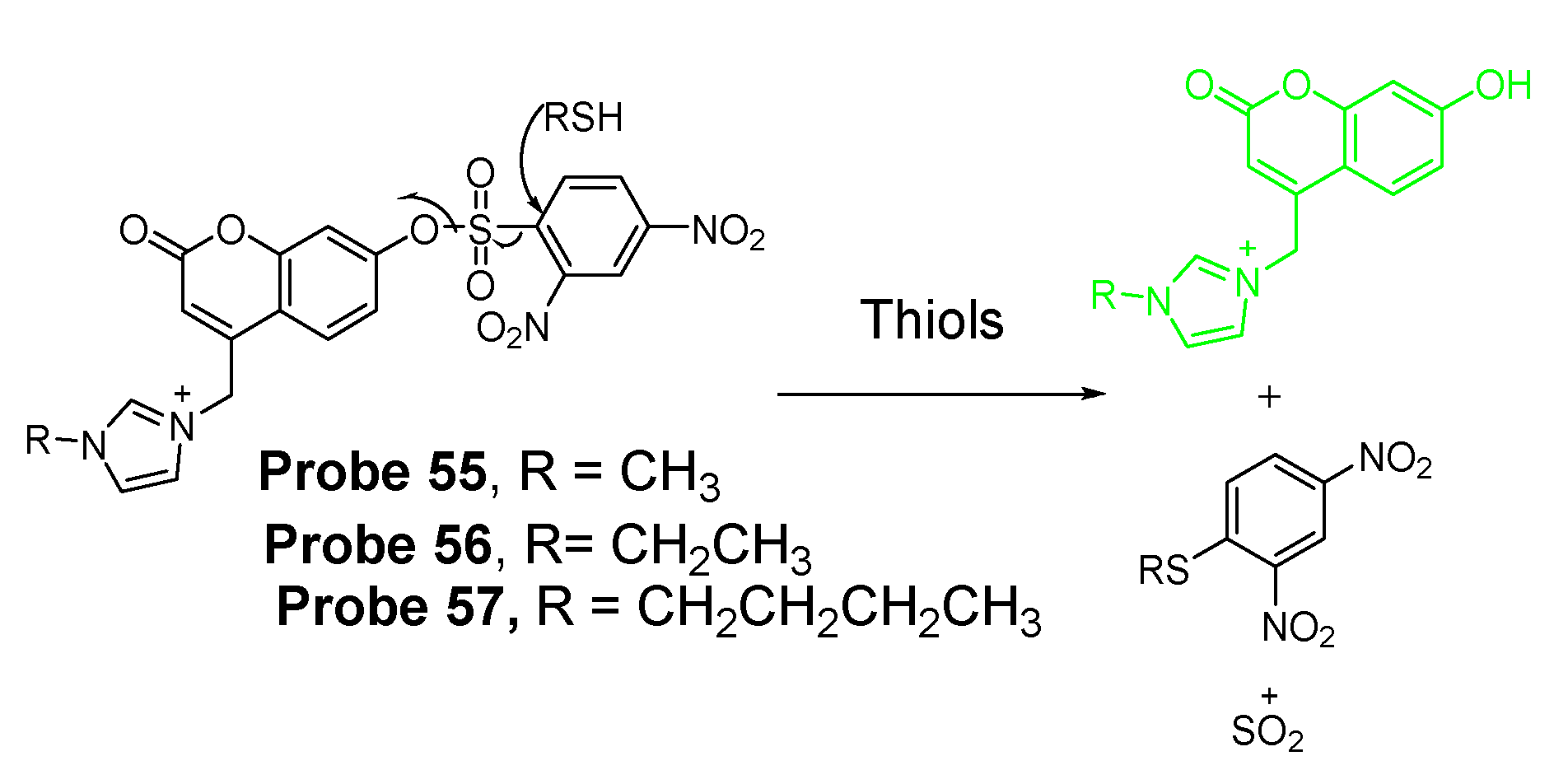 Molecules 26 03575 g050