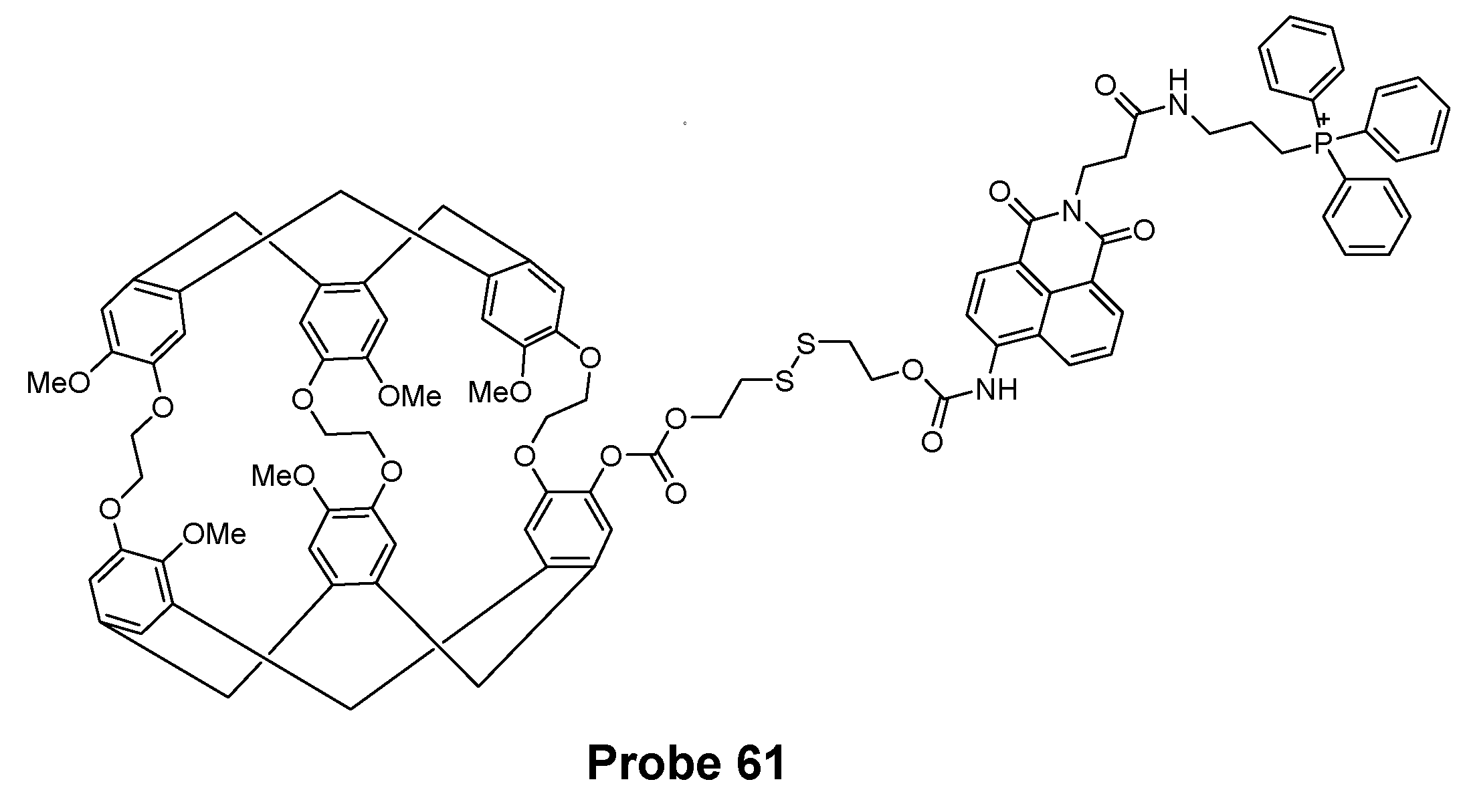 Molecules 26 03575 g054