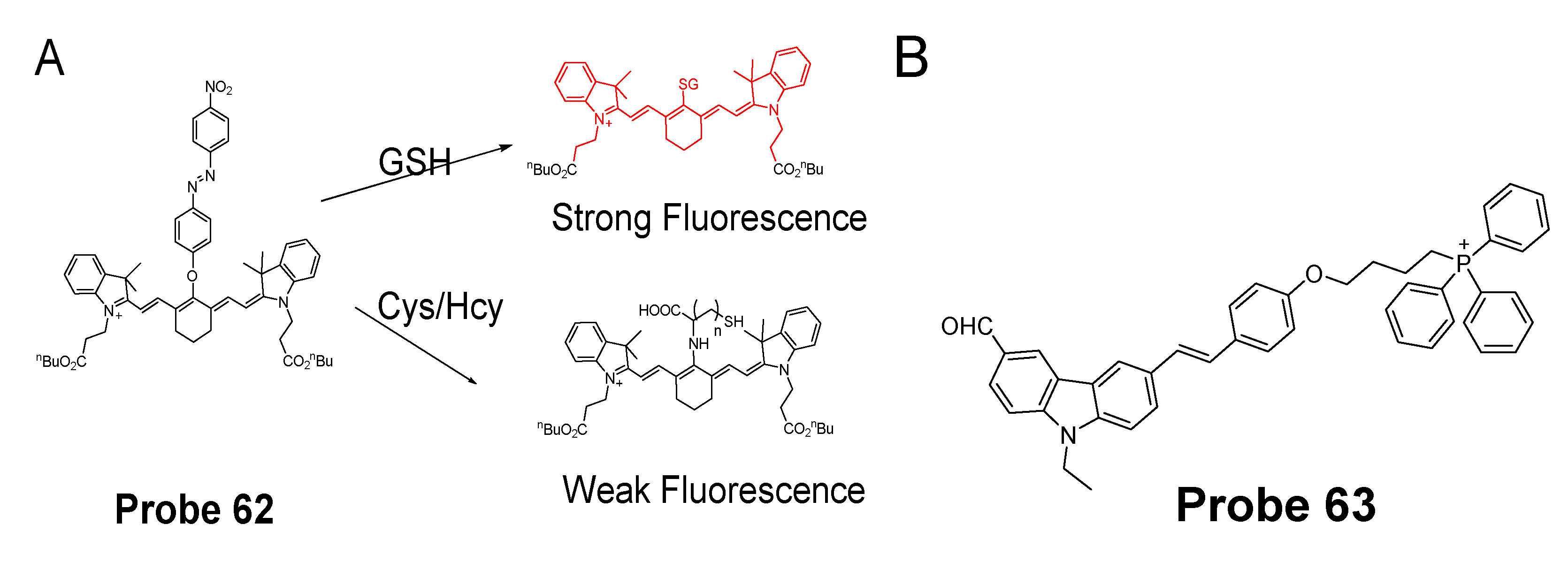 Molecules 26 03575 g055