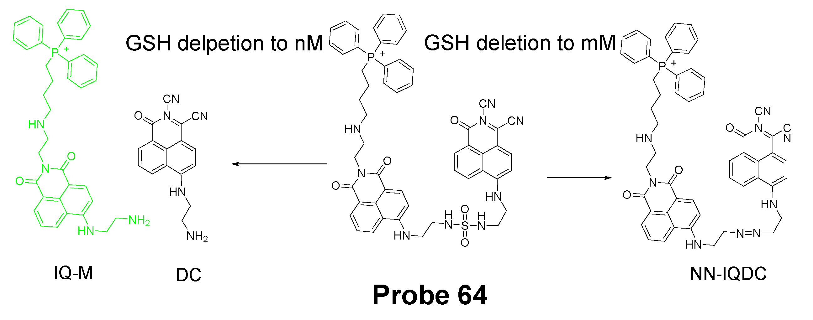 Molecules 26 03575 g056