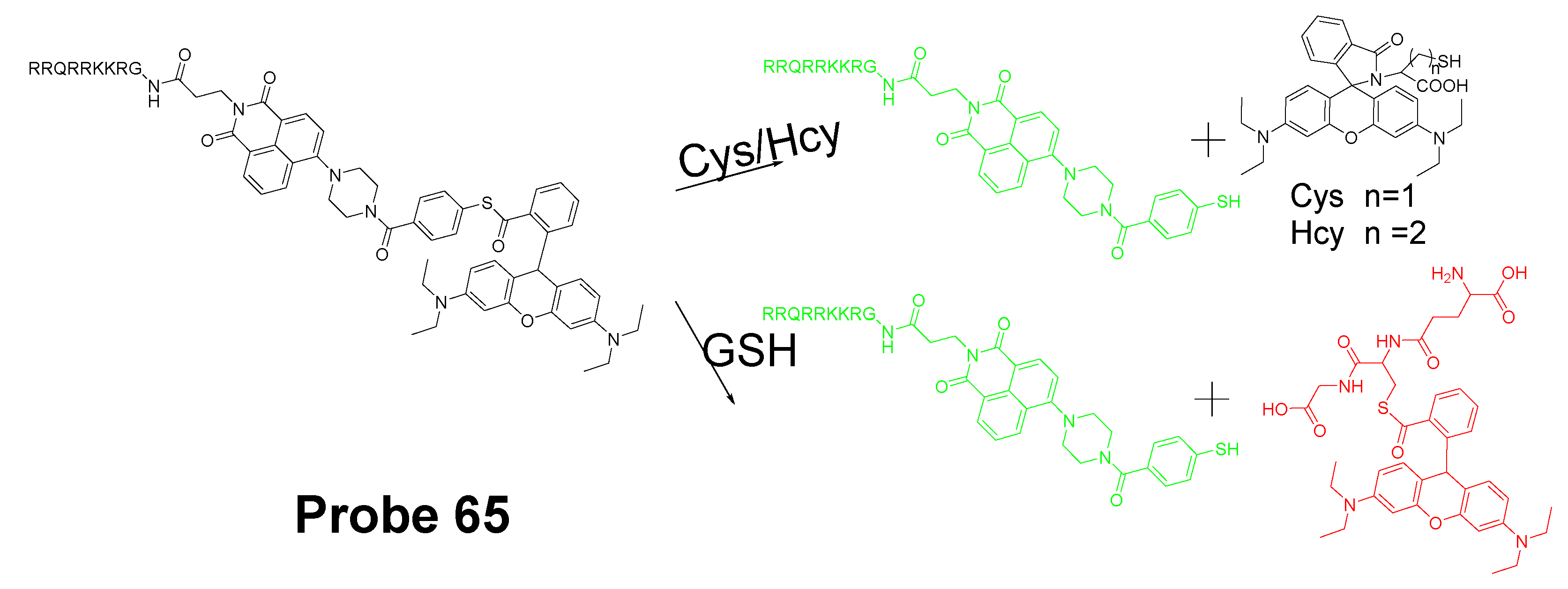 Molecules 26 03575 g057