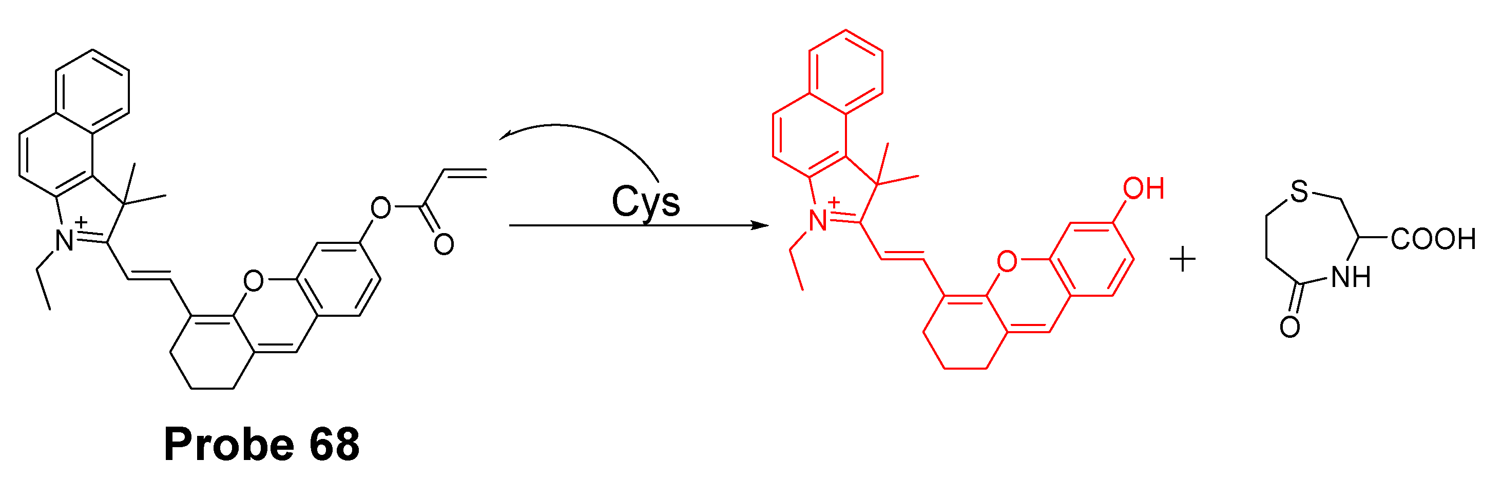 Molecules 26 03575 g059
