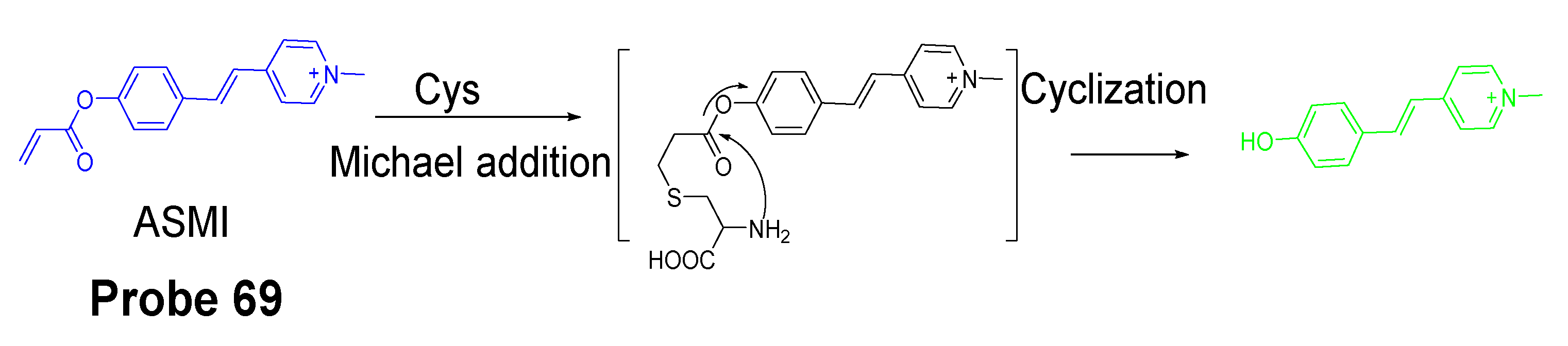 Molecules 26 03575 g060