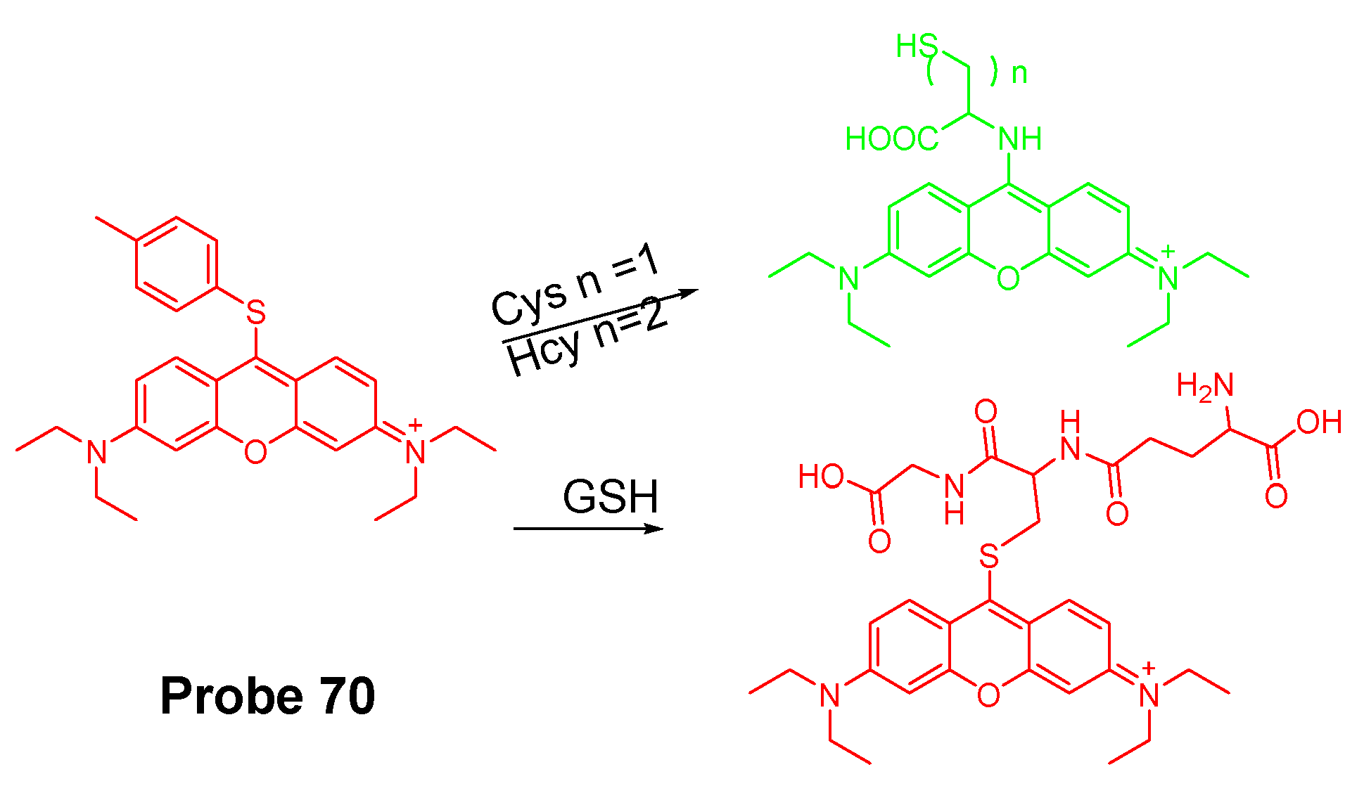 Molecules 26 03575 g061