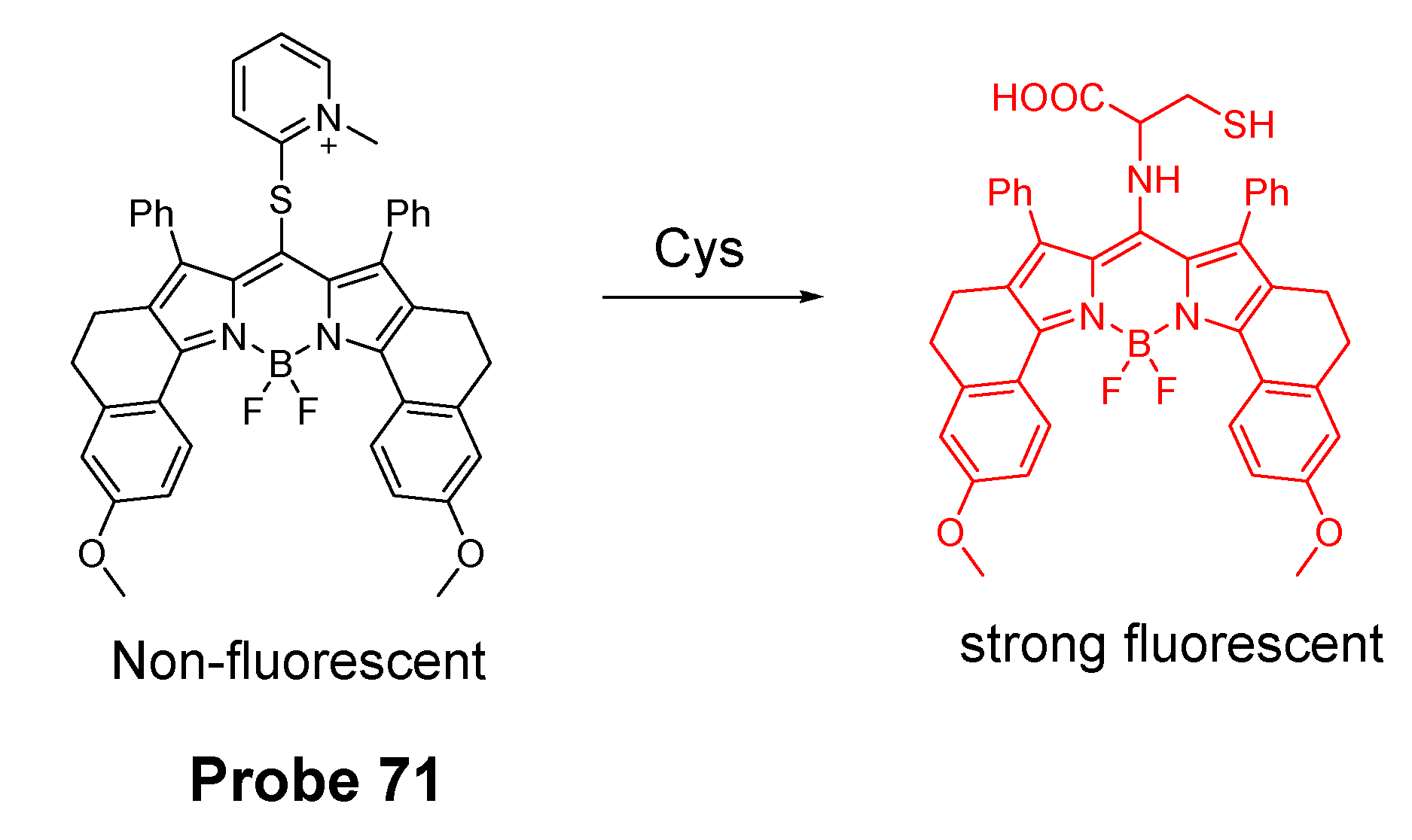 Molecules 26 03575 g062