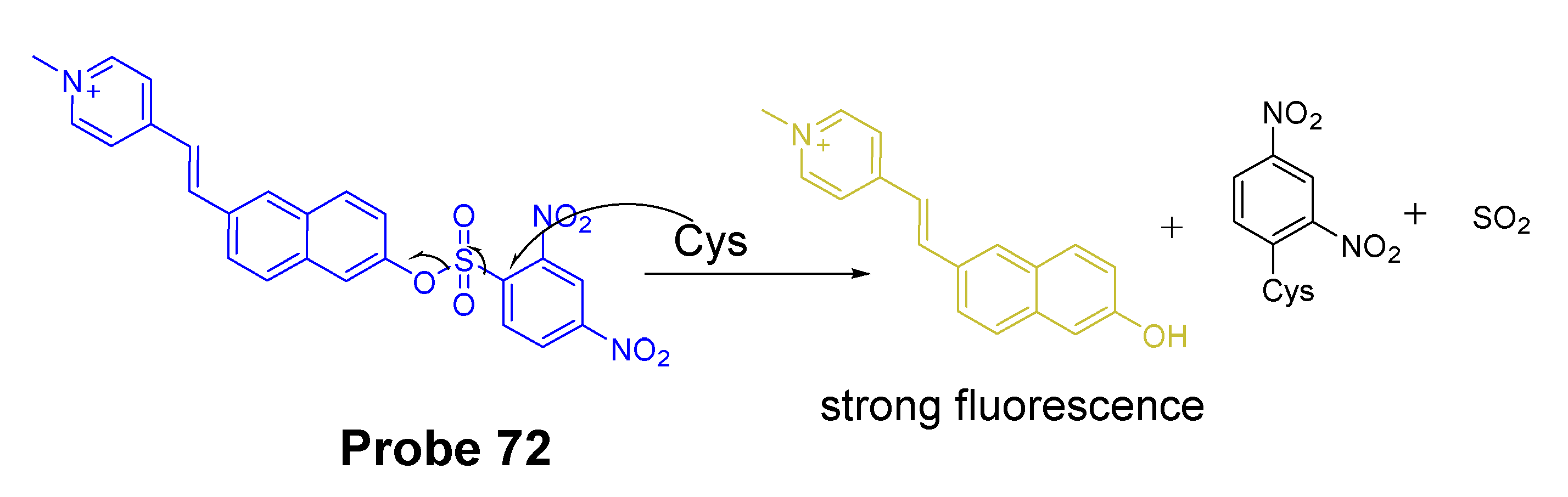 Molecules 26 03575 g063