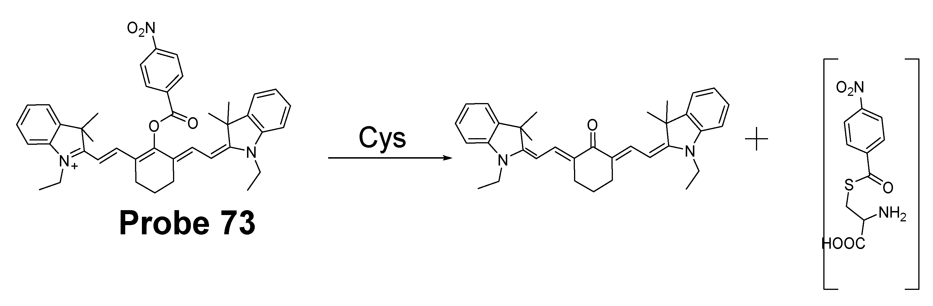 Molecules 26 03575 g064