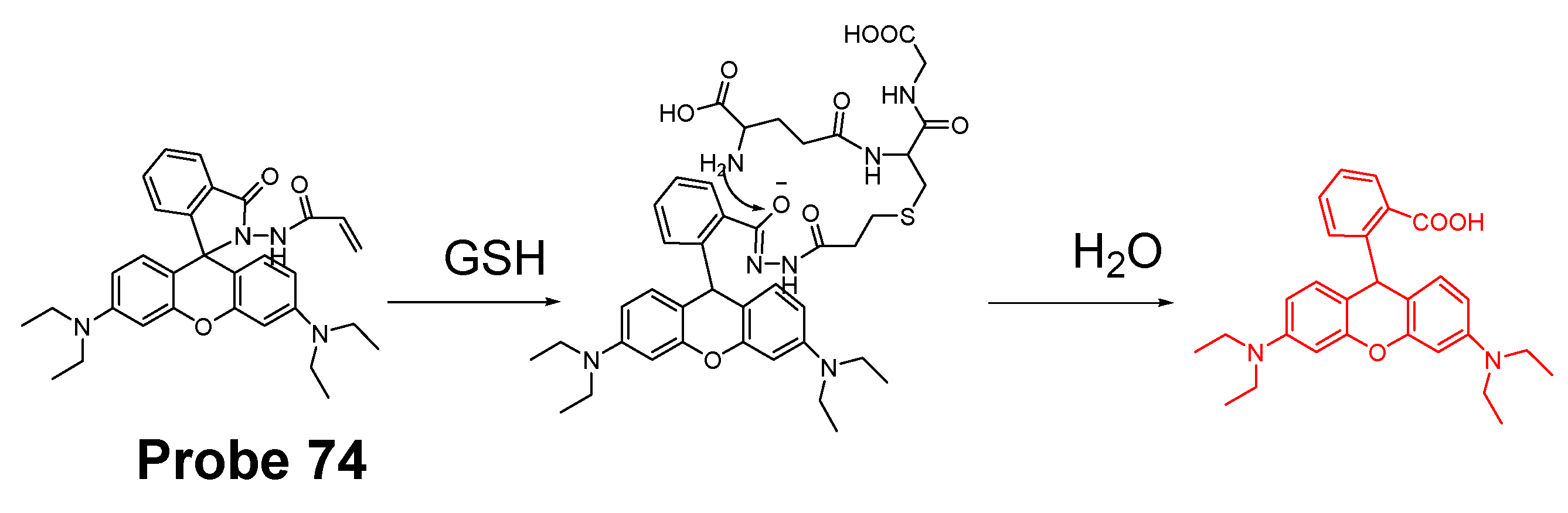 Molecules 26 03575 g066