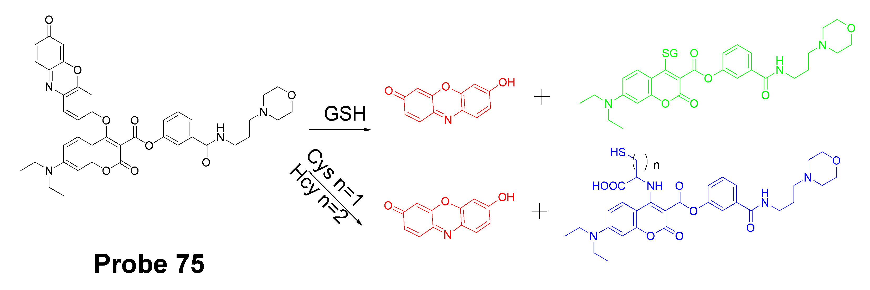 Molecules 26 03575 g067