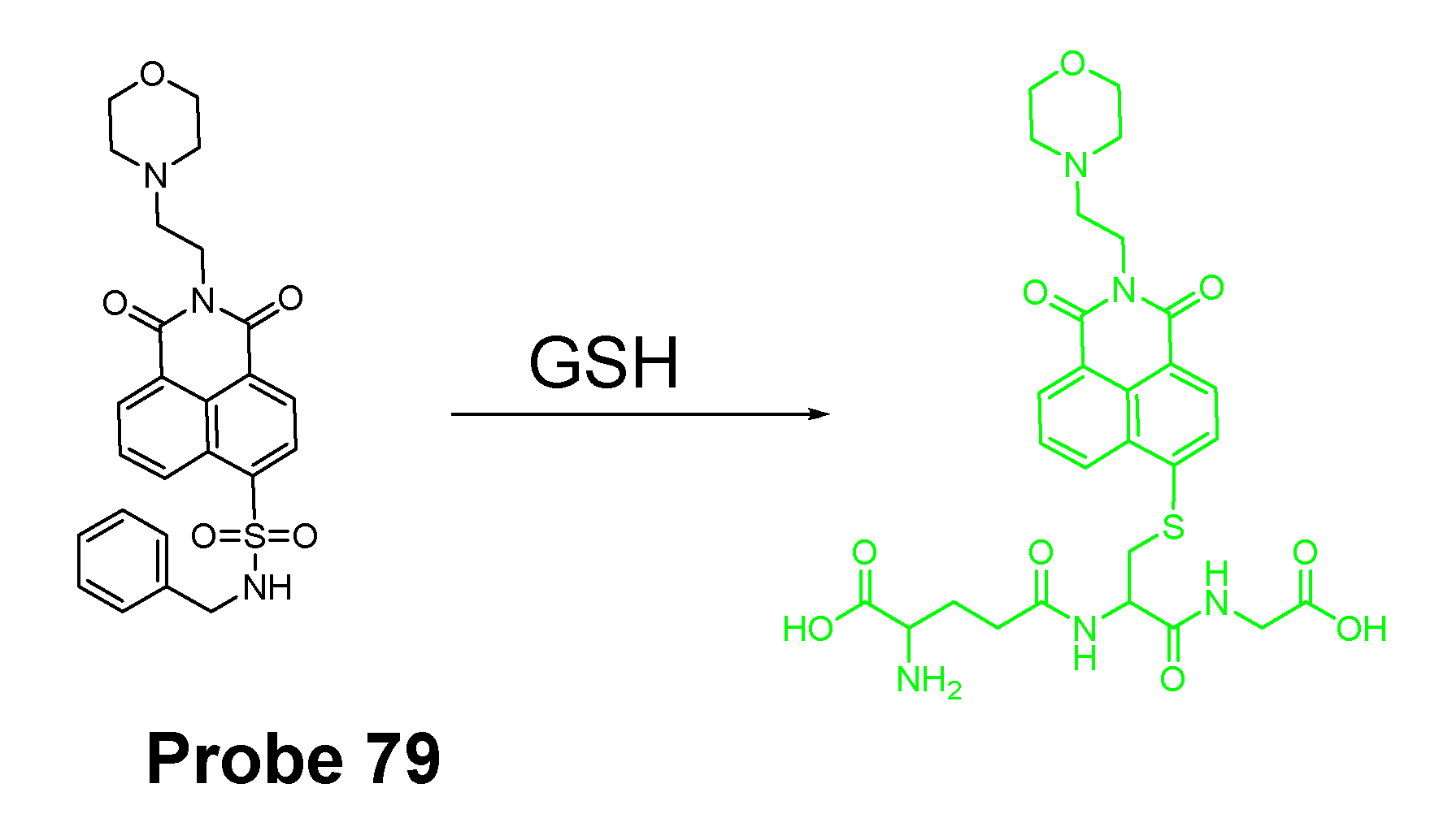Molecules 26 03575 g070