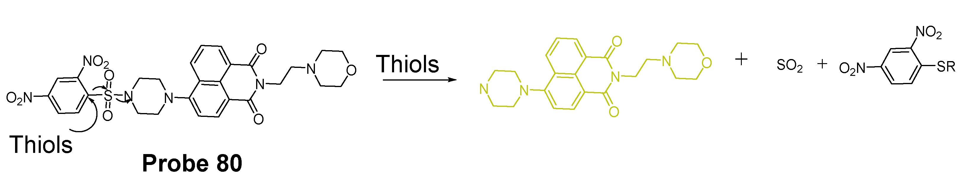 Molecules 26 03575 g071