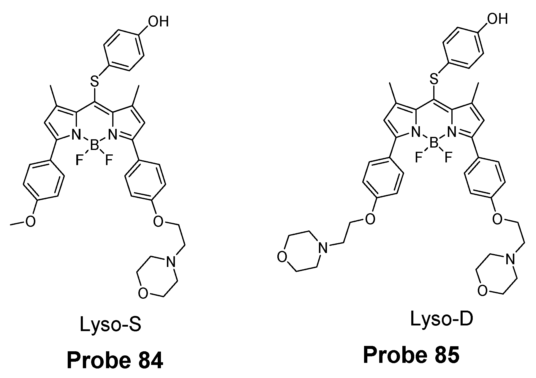 Molecules 26 03575 g073