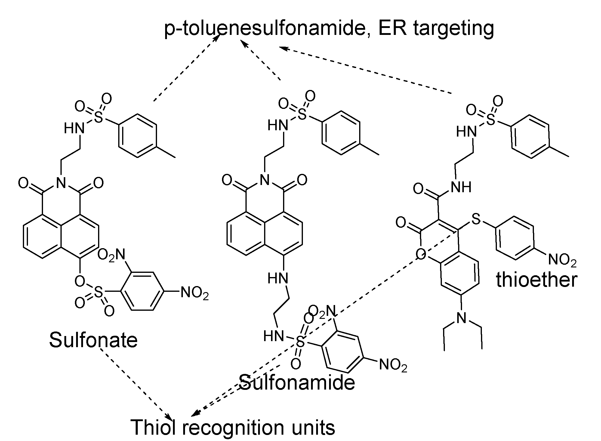 Molecules 26 03575 g074