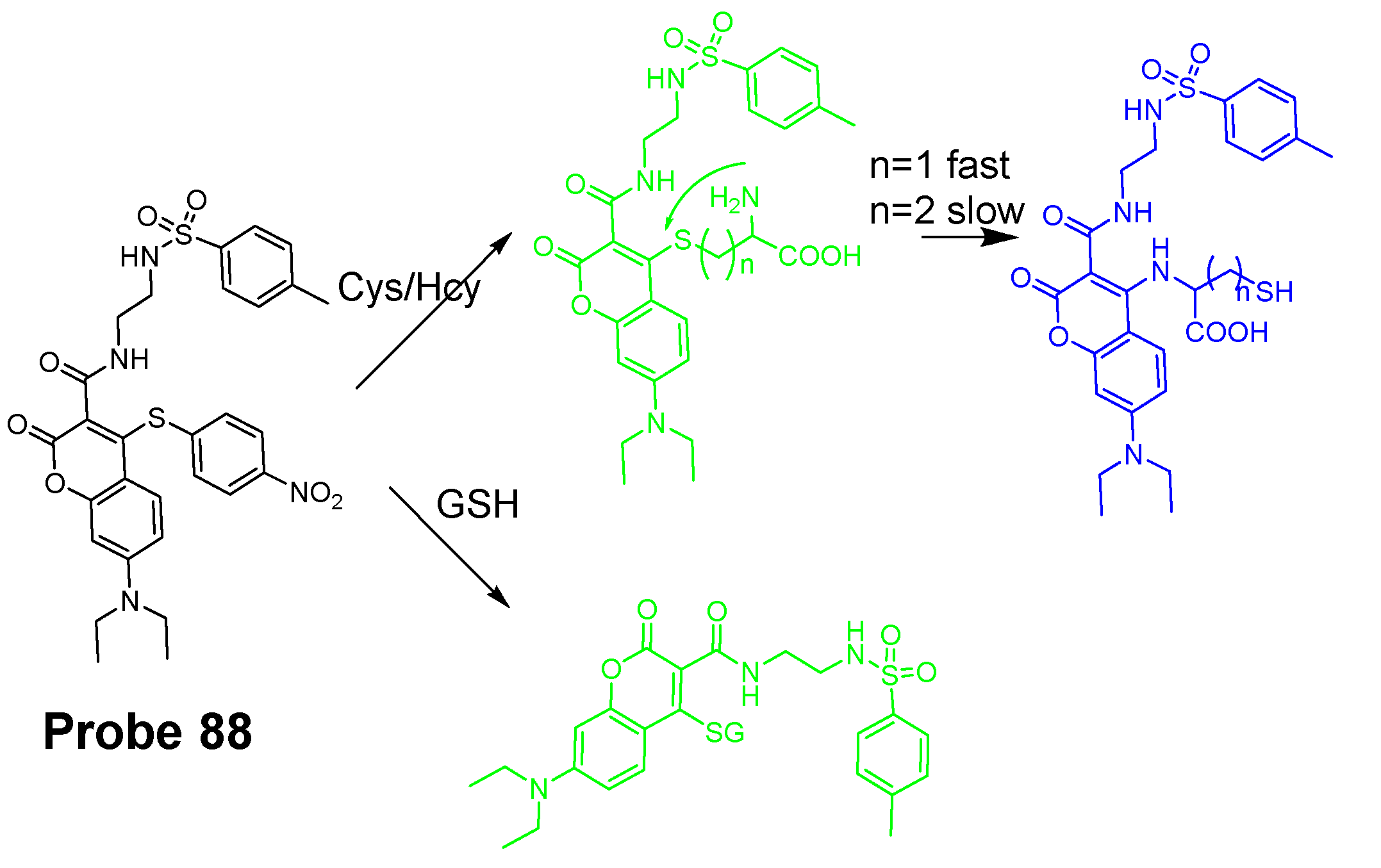 Molecules 26 03575 g076