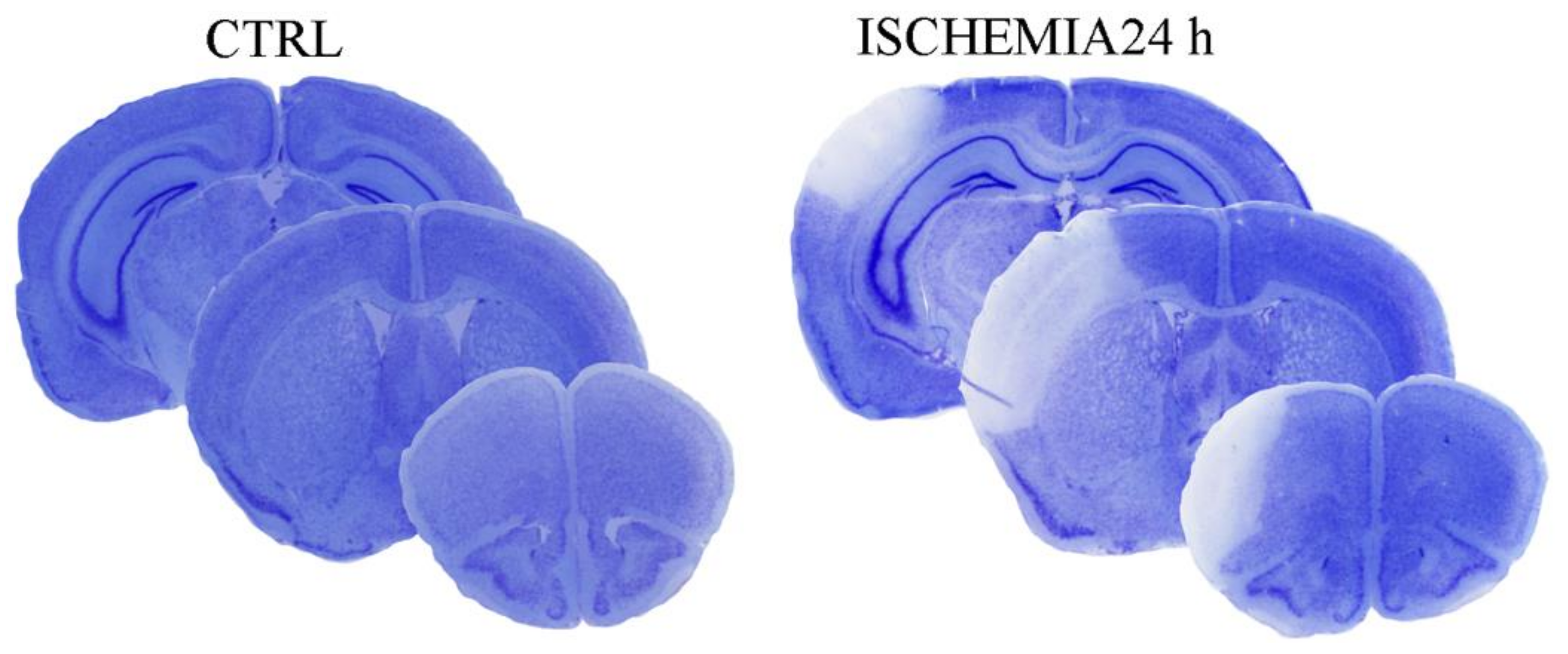 Molecules 26 03578 g001