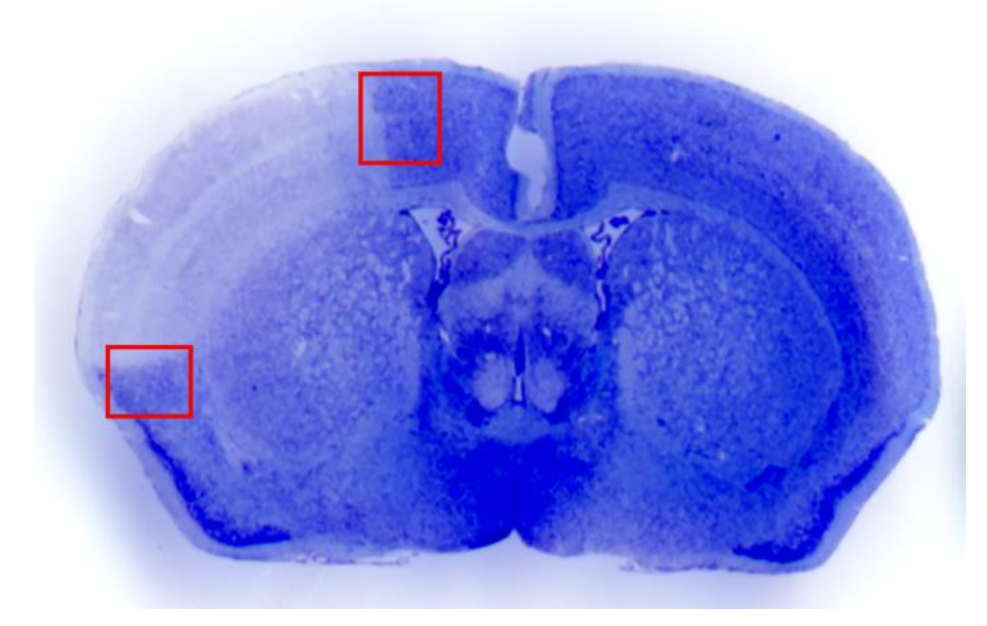 Molecules 26 03578 g002