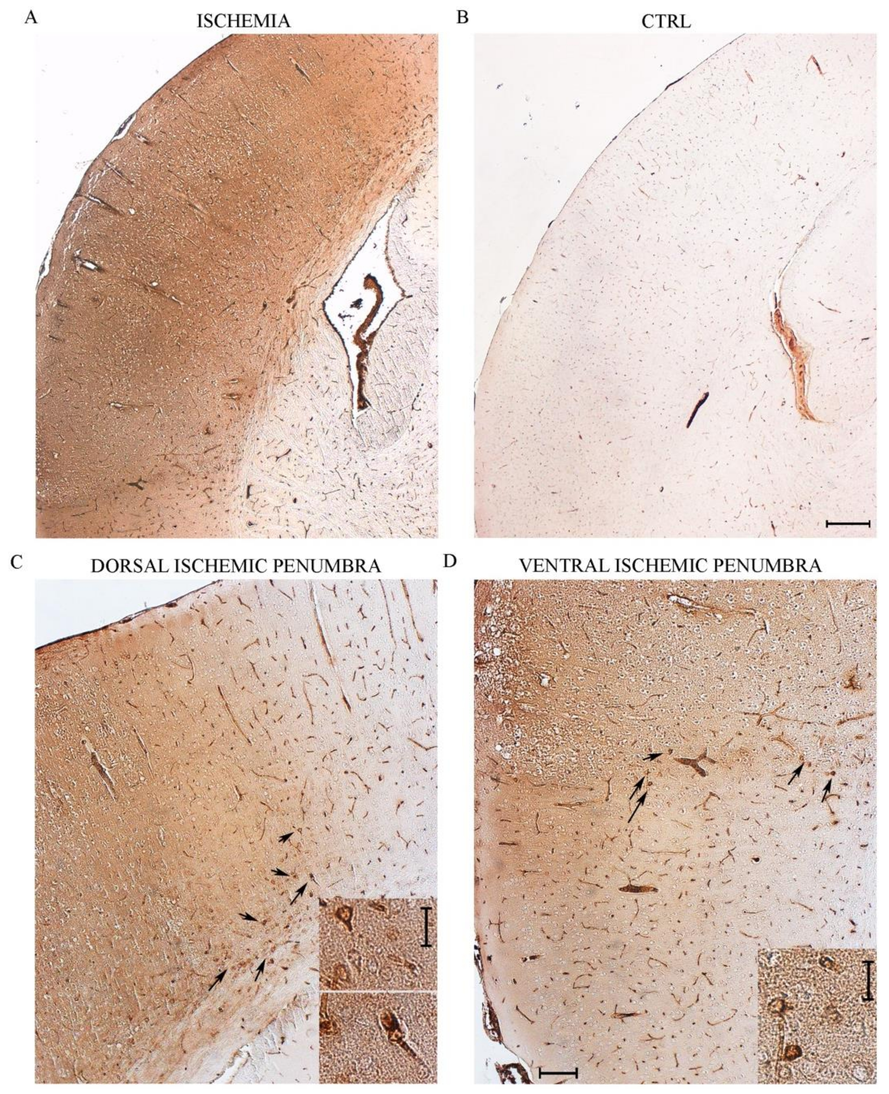 Molecules 26 03578 g003