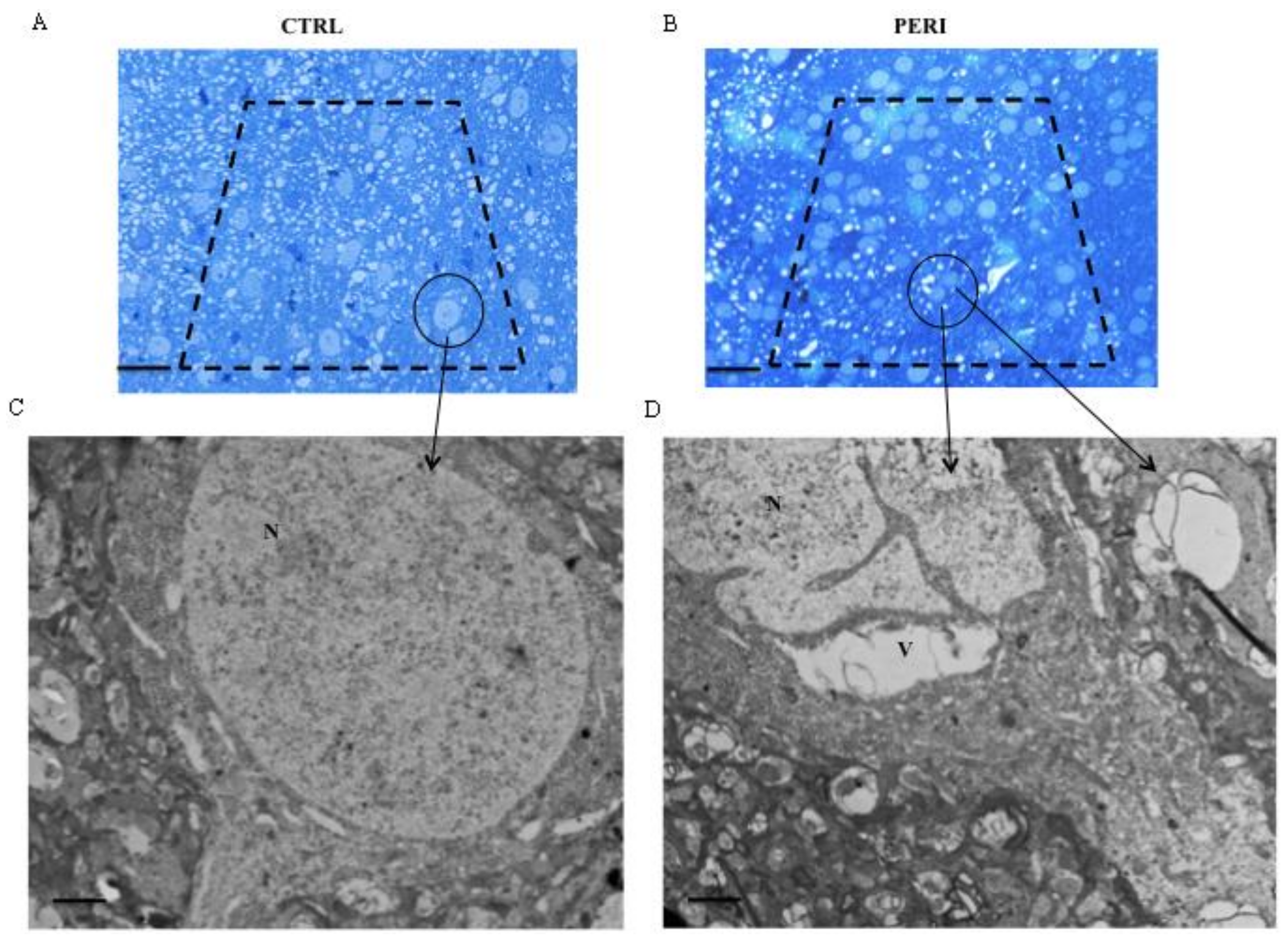 Molecules 26 03578 g004