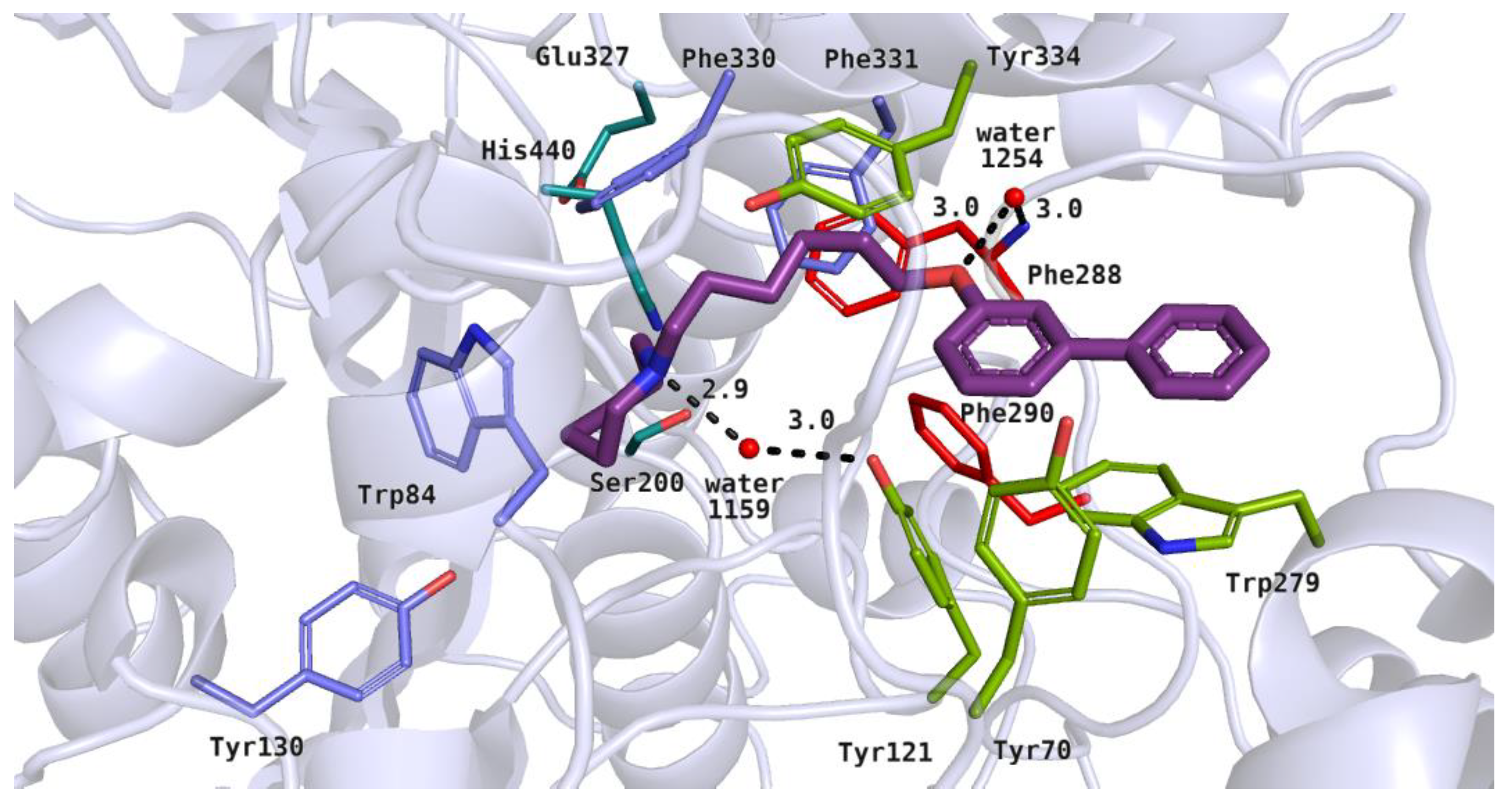 Molecules 26 03580 g008