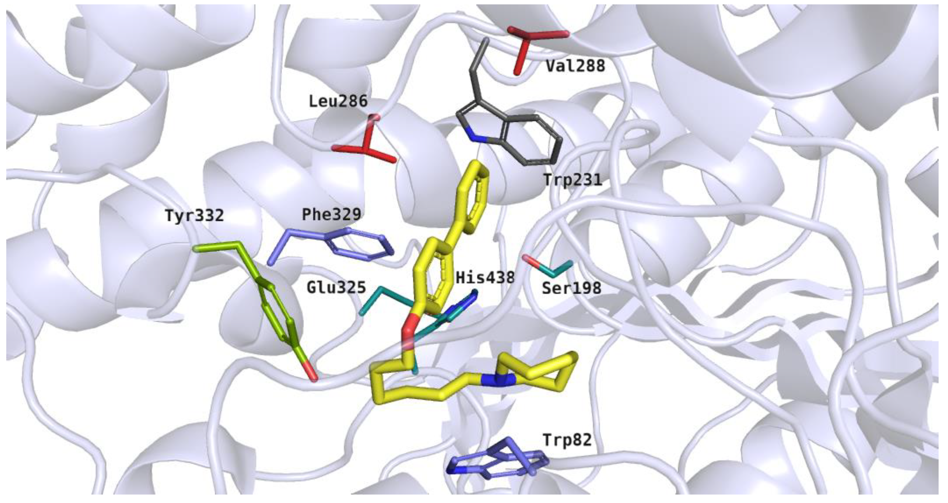 Molecules 26 03580 g010