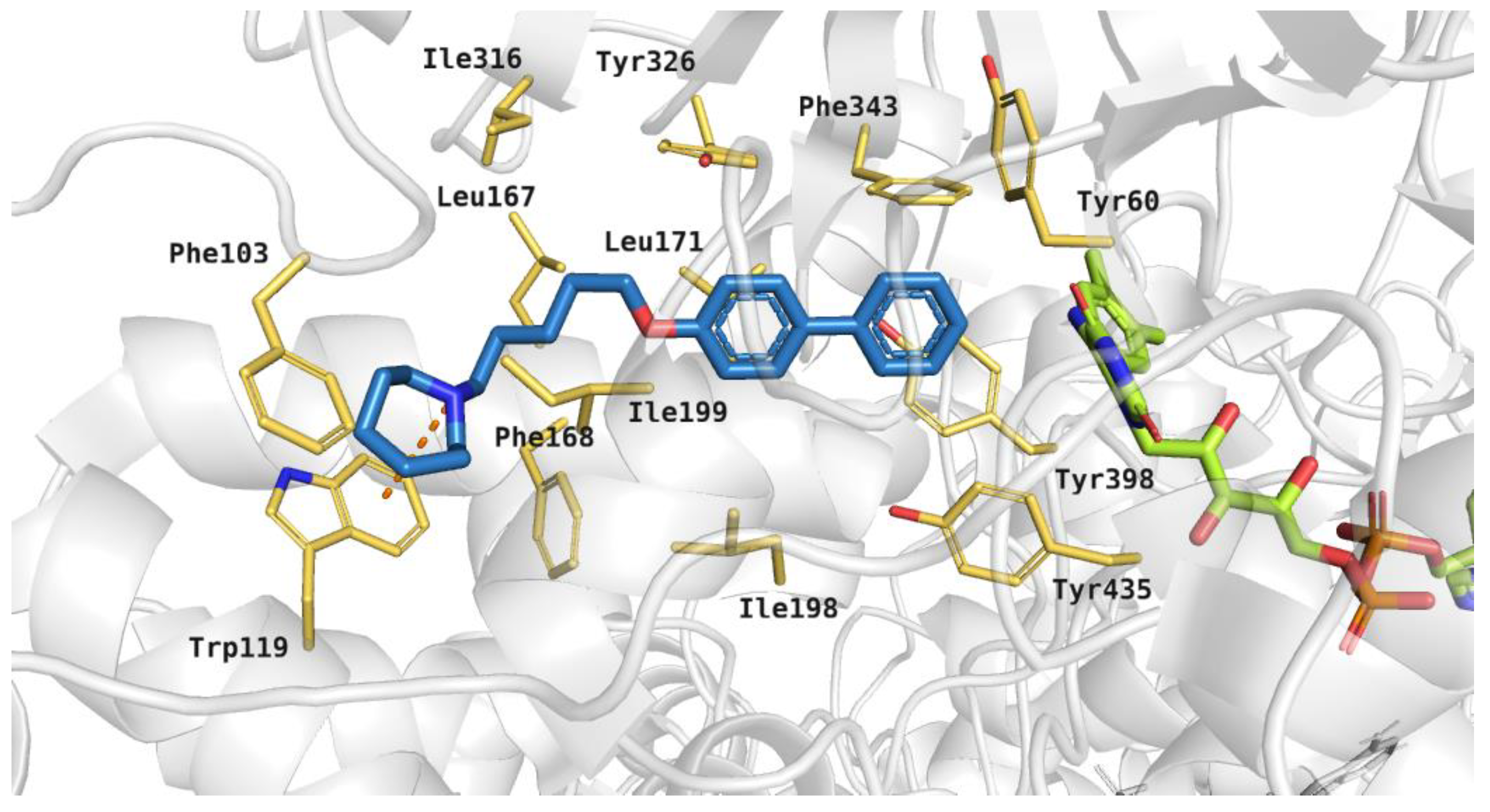 Molecules 26 03580 g011